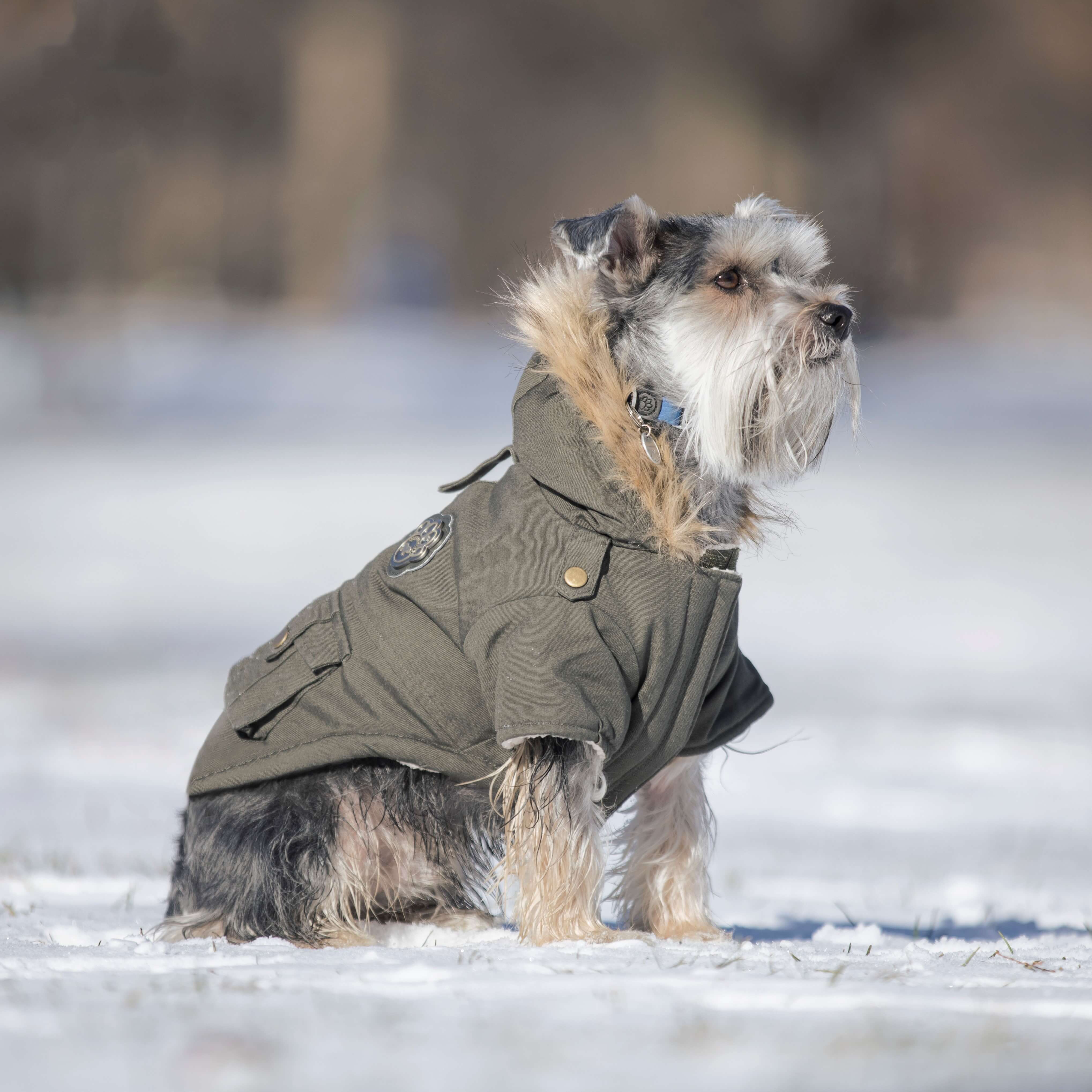 Alaskan Army Parka - Image 13