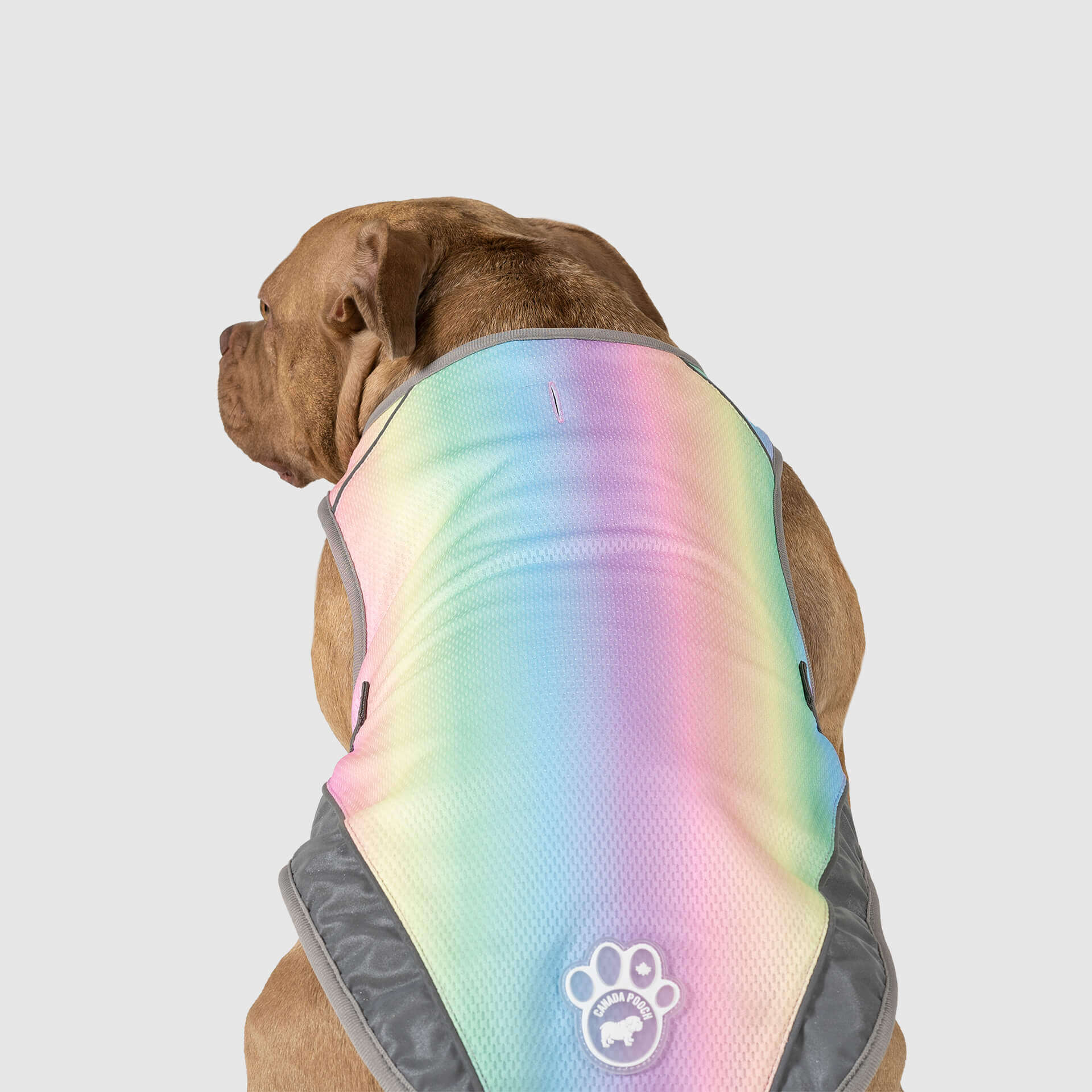 Chill Seeker Cooling Vest - Image 10