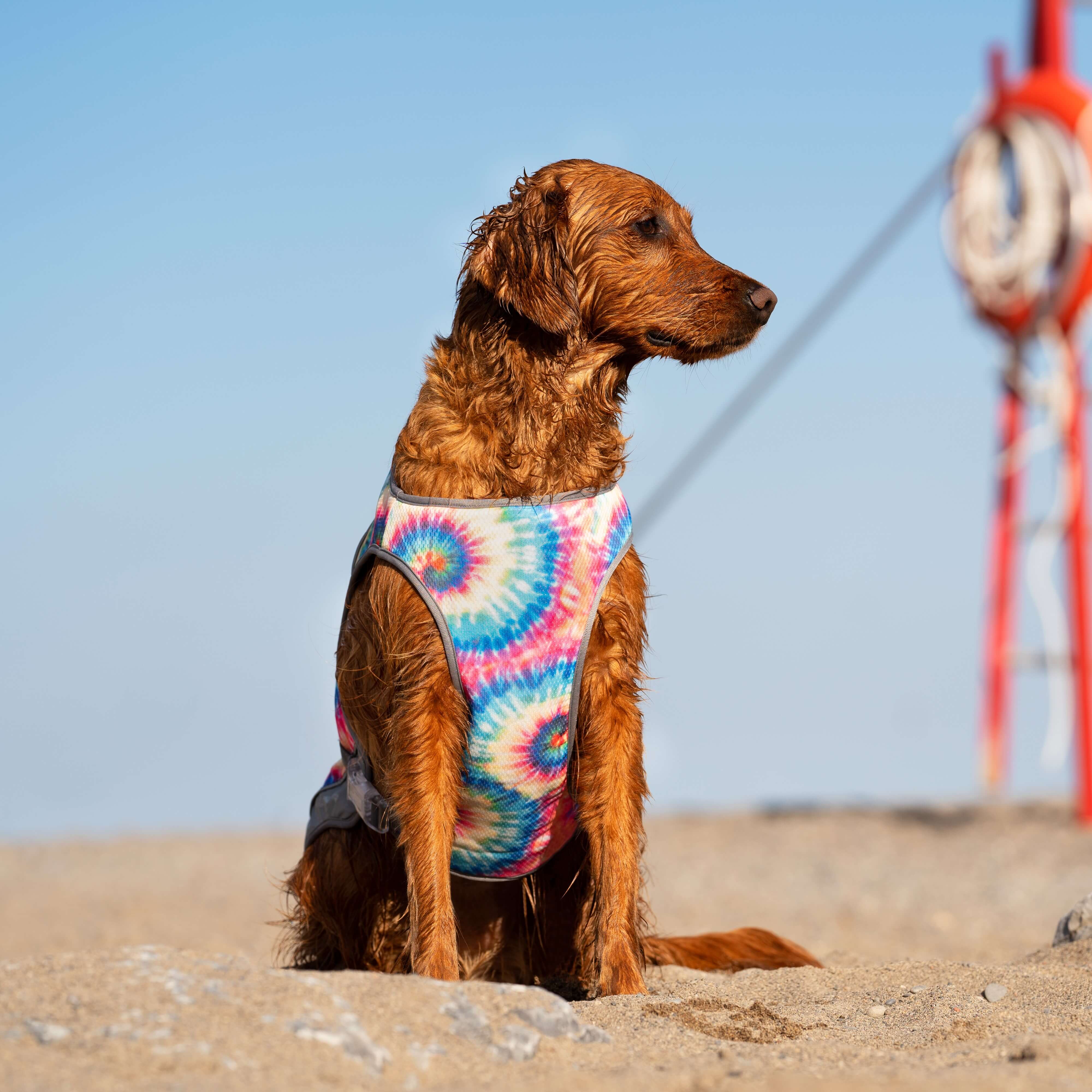 Chill Seeker Cooling Vest - Image 14