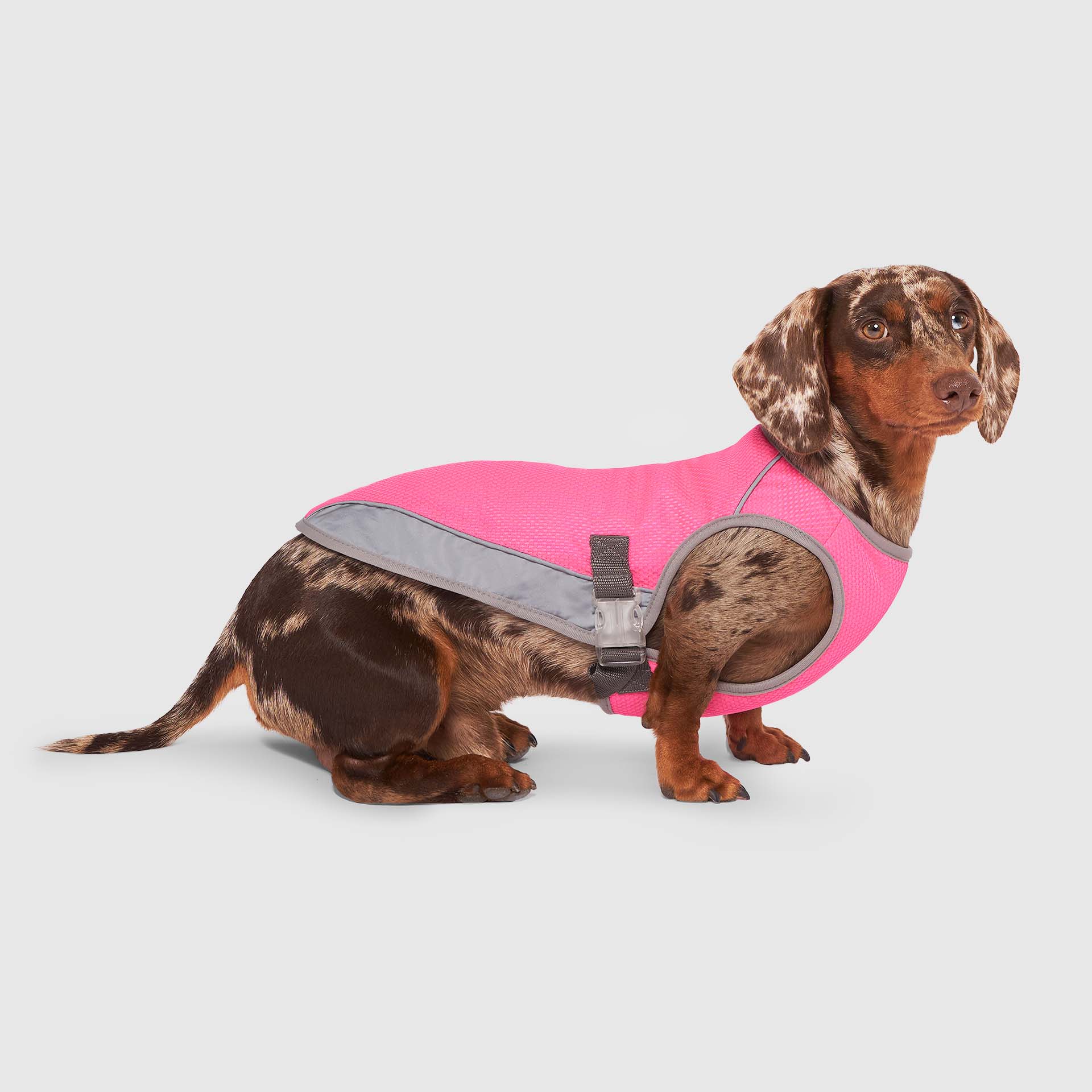 Chill Seeker Cooling Vest - Image 19