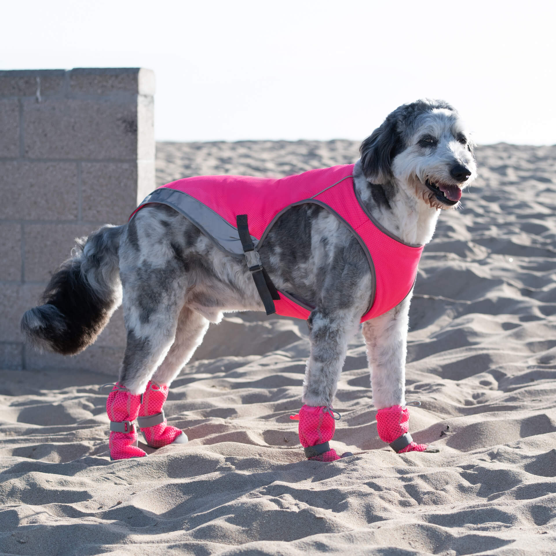 Chill Seeker Cooling Vest - Image 20