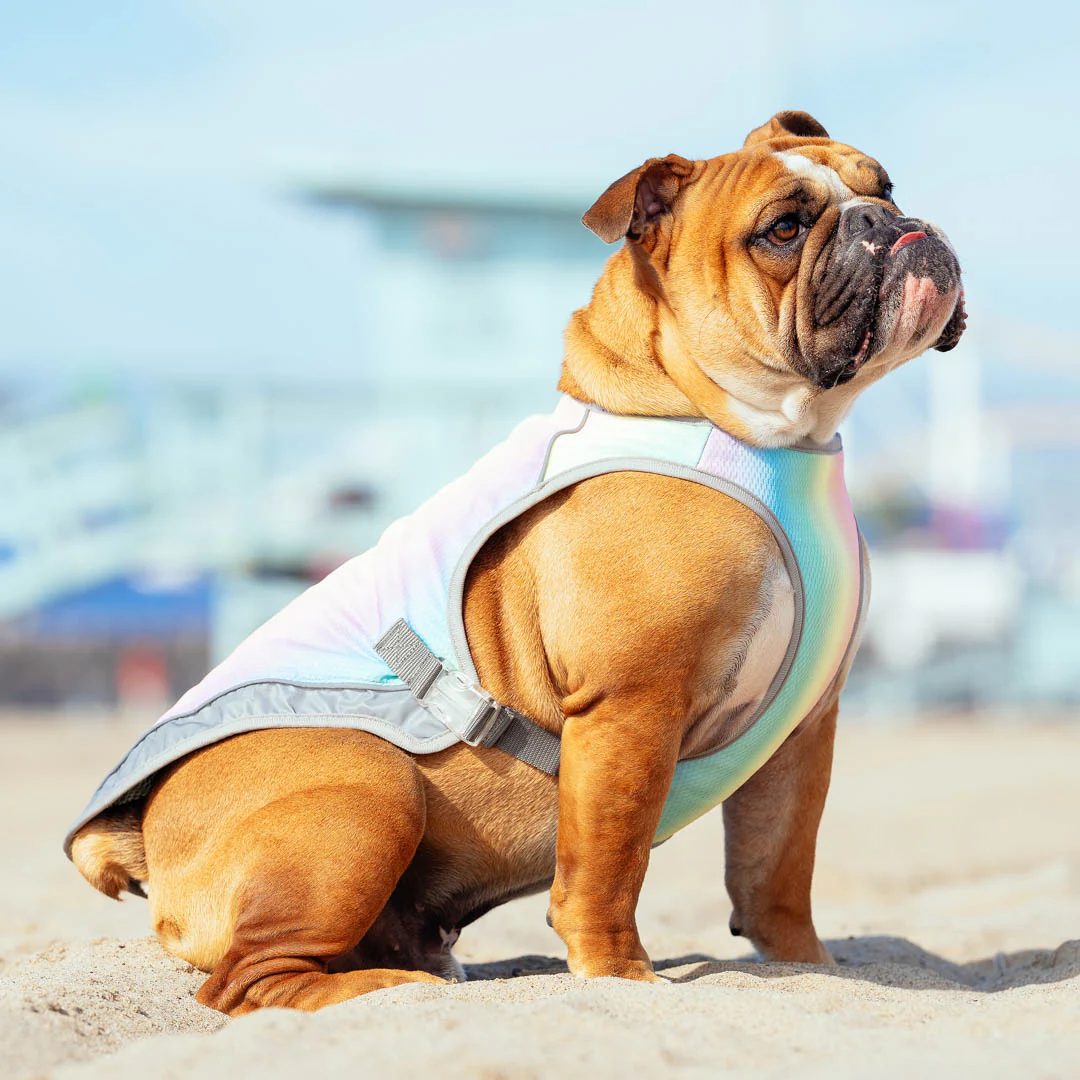 Chill Seeker Cooling Vest - Image 8