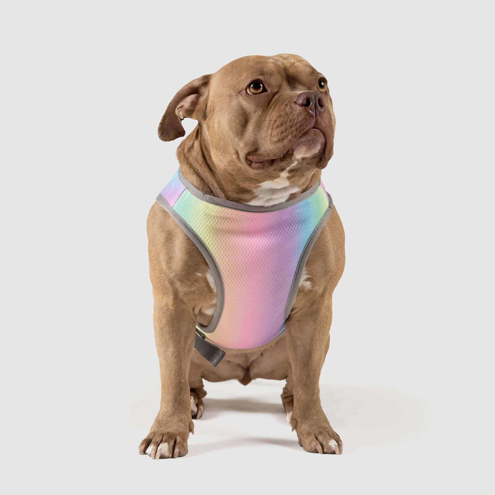 Chill Seeker Cooling Vest - Image 9