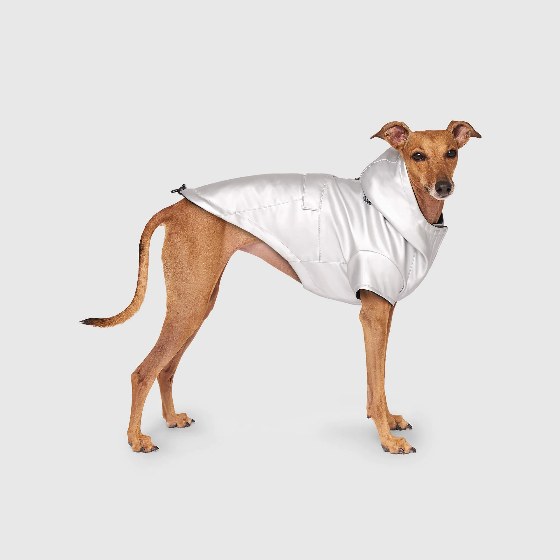 Cold Front Raincoat - Image 6