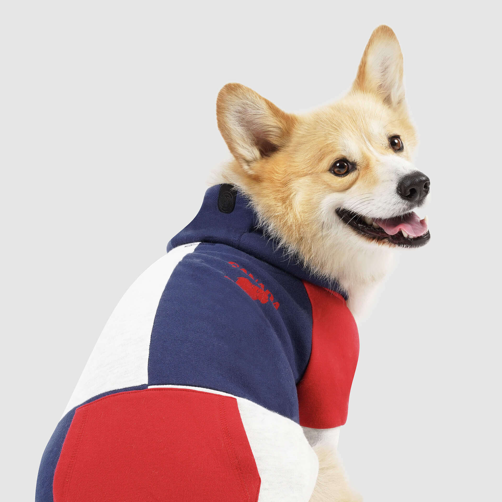 Colorblock Hoodie - Image 3