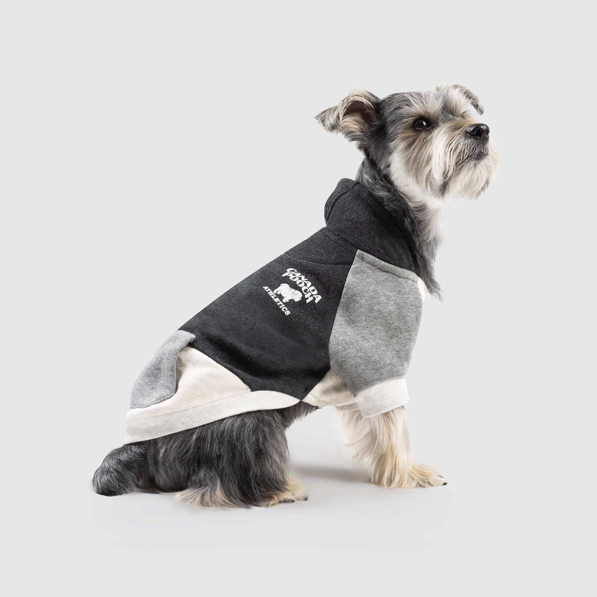 Colorblock Hoodie - Image 5