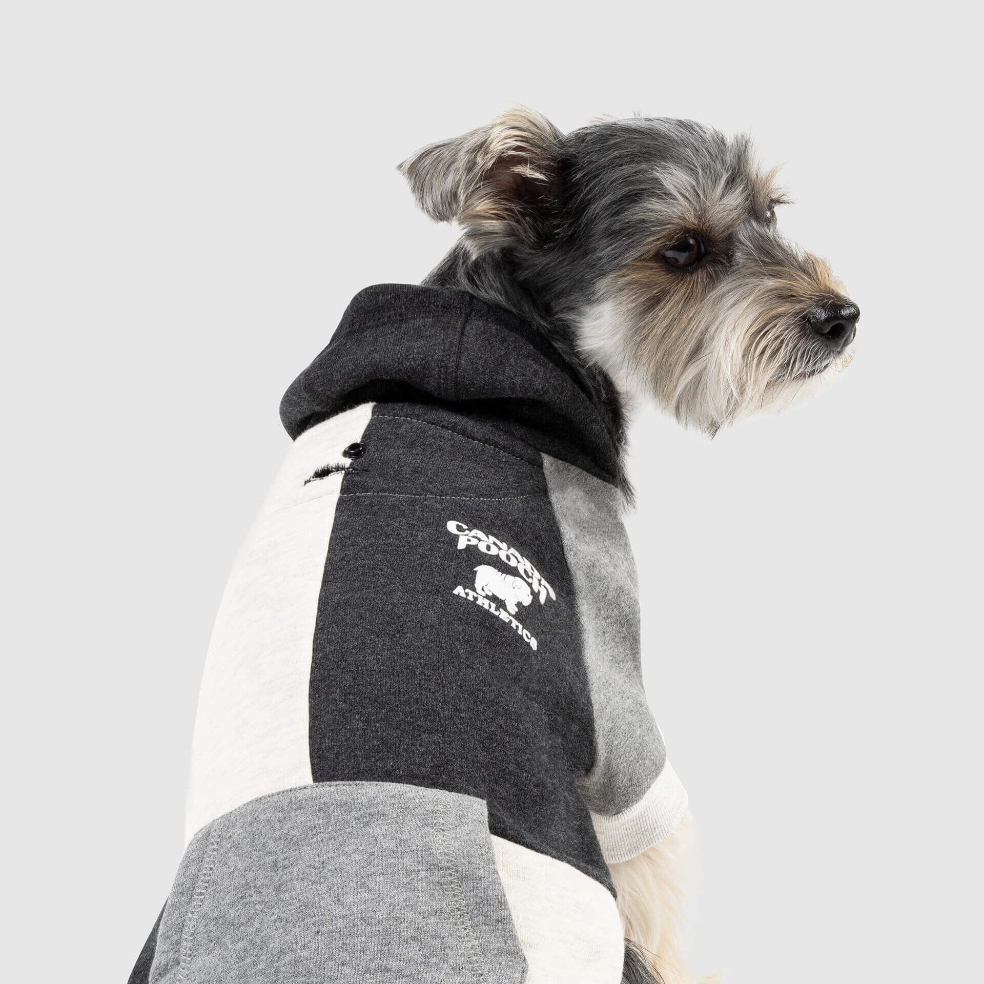 Colorblock Hoodie - Image 7