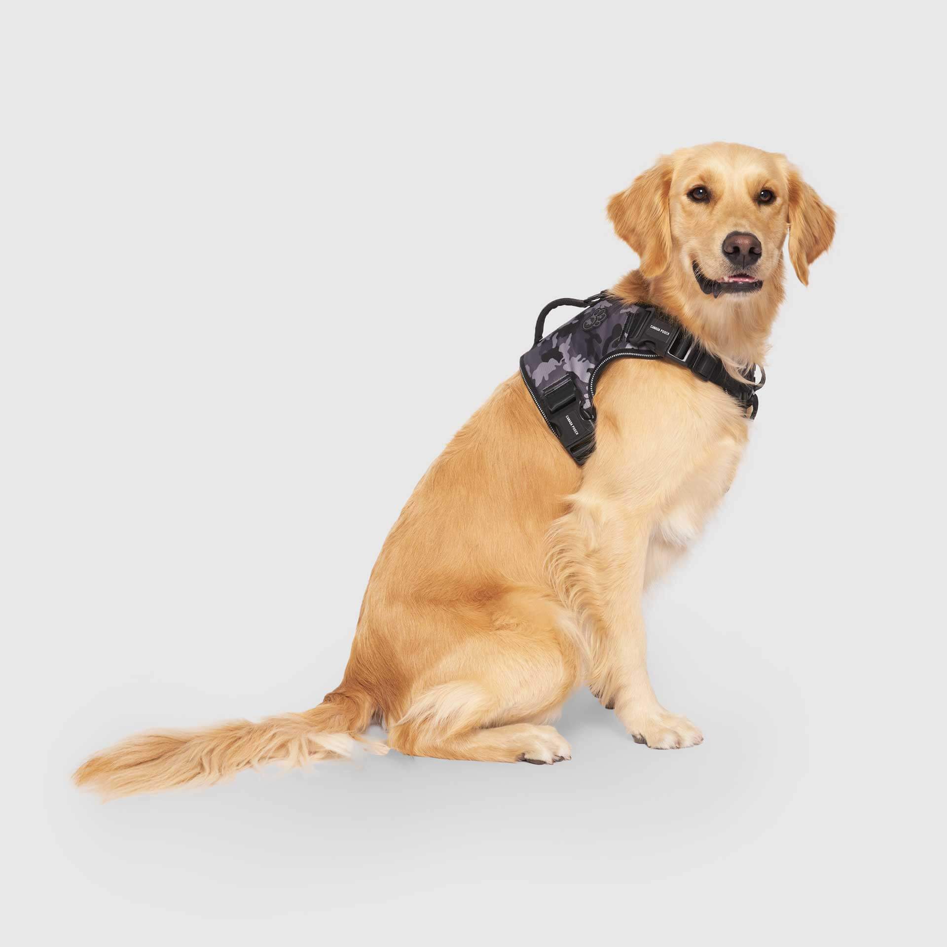 Complete Control Harness - Image 10