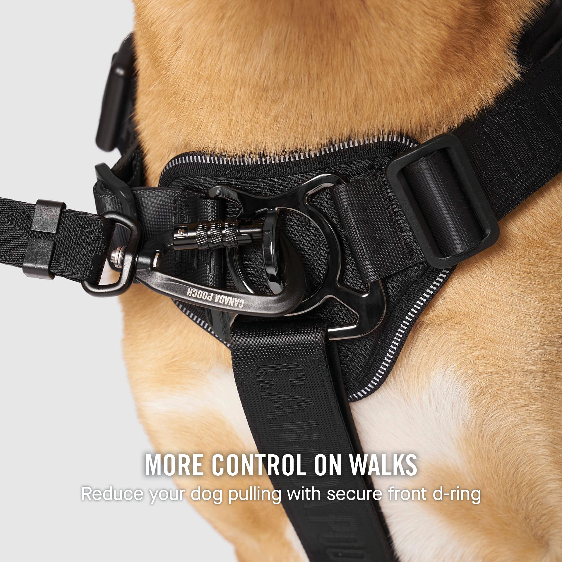 Complete Control Harness - Image 11