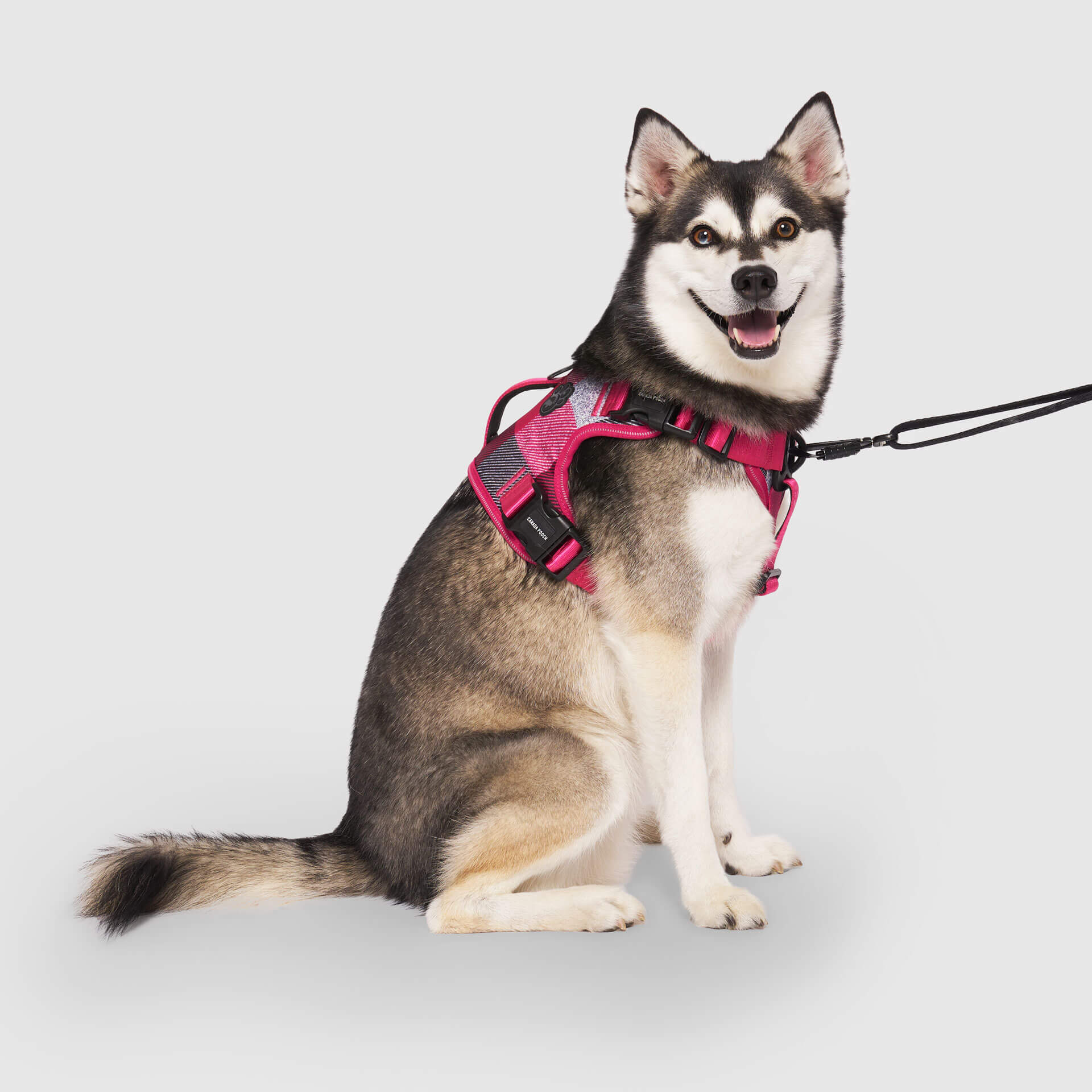 Complete Control Harness - Image 19