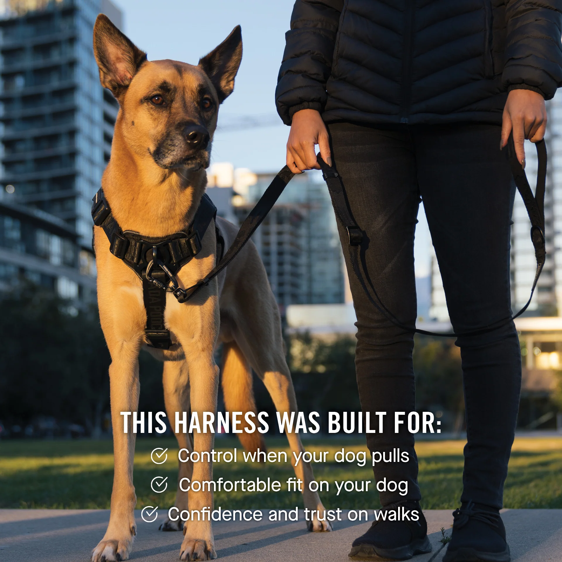 Complete Control Harness - Image 24