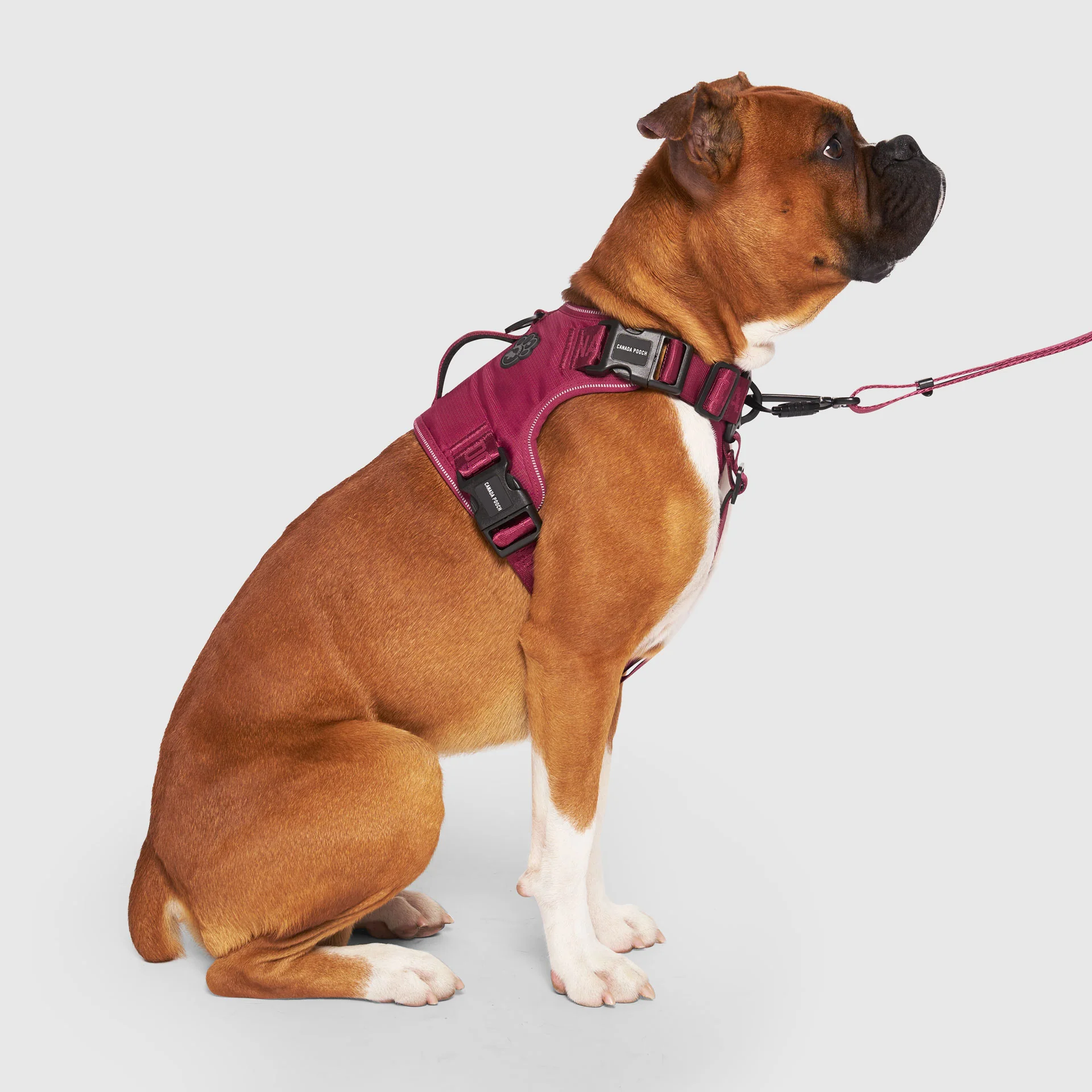 Complete Control Harness - Image 28