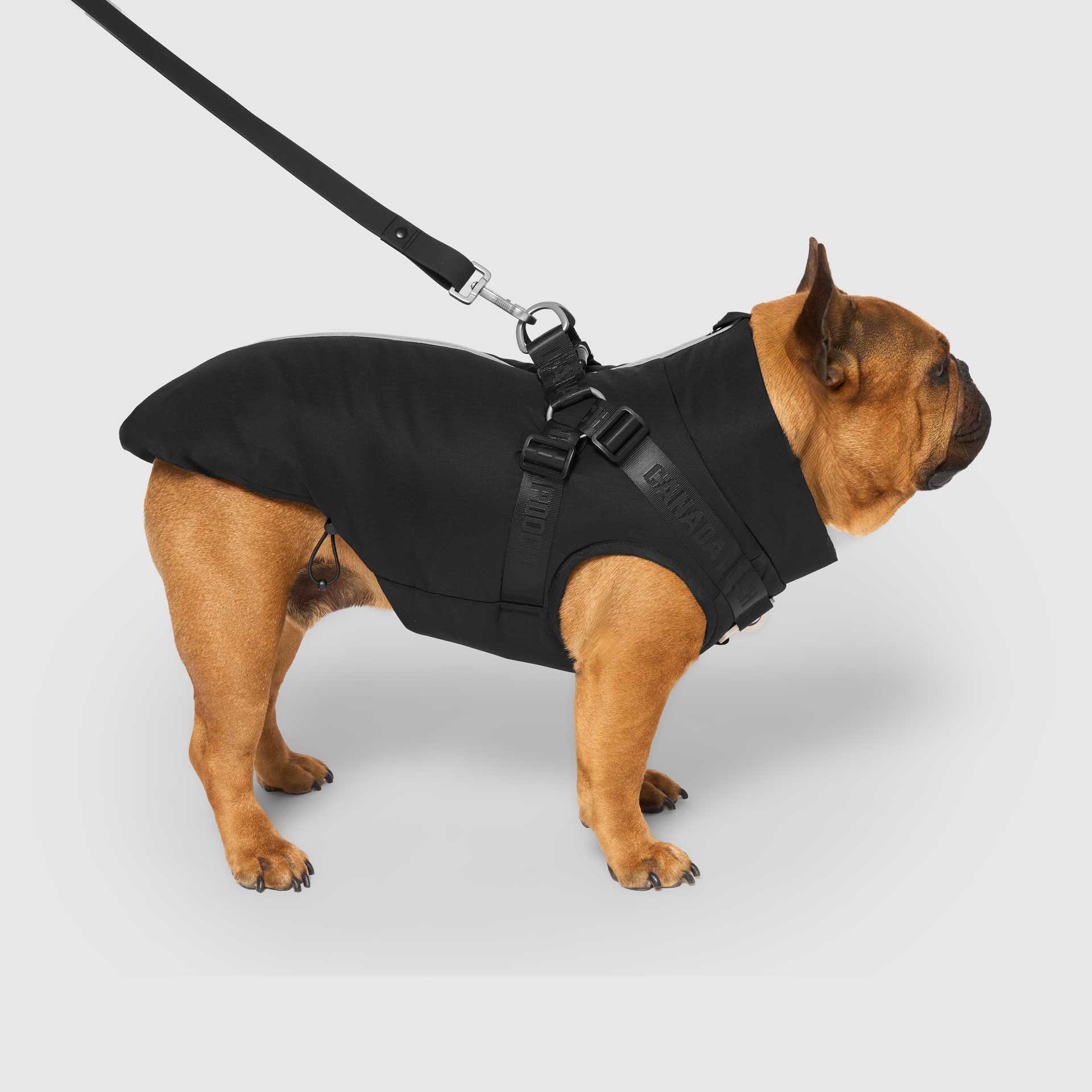 Complete Control Harness Winter Jacket - Image 3
