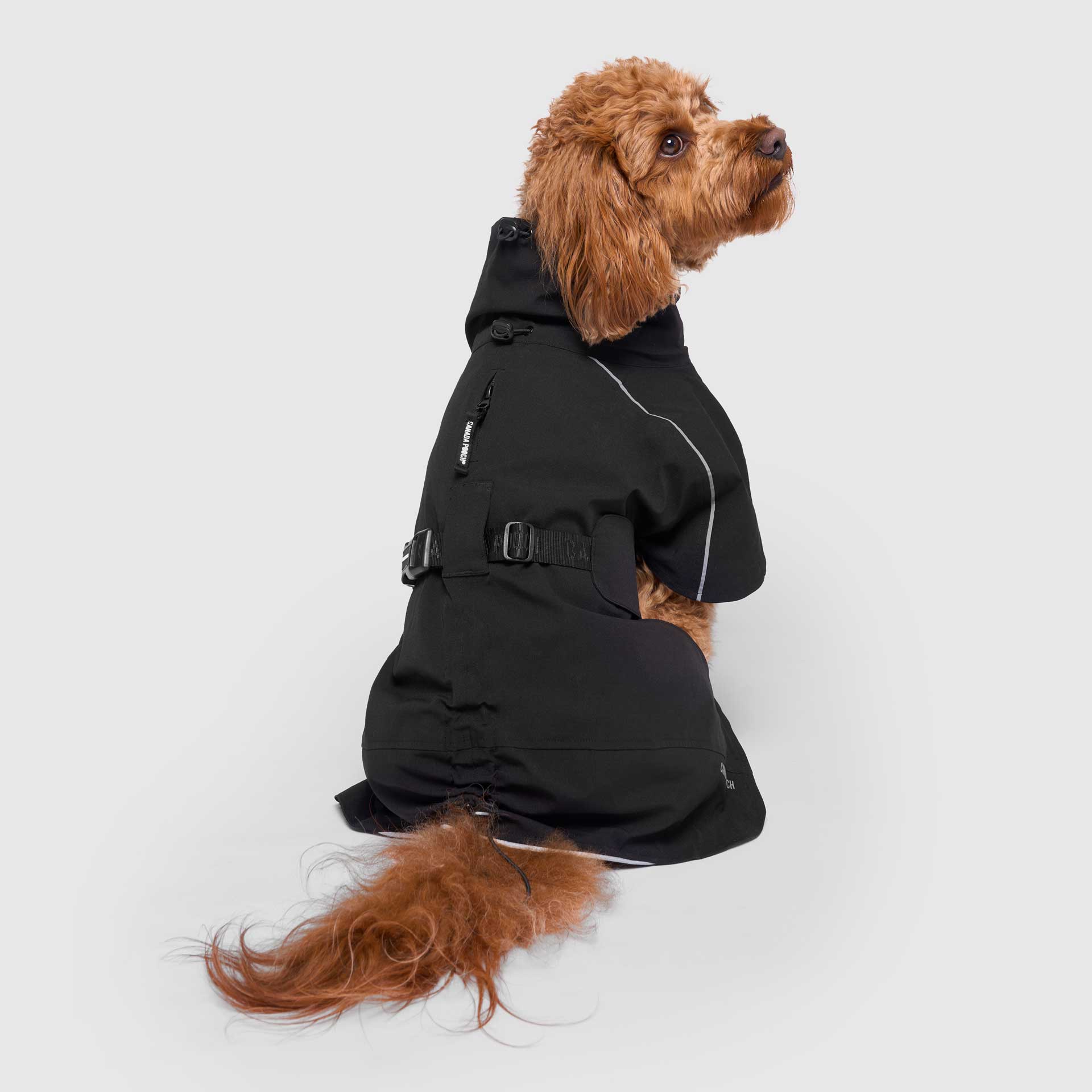 Complete Coverage Raincoat - Image 3
