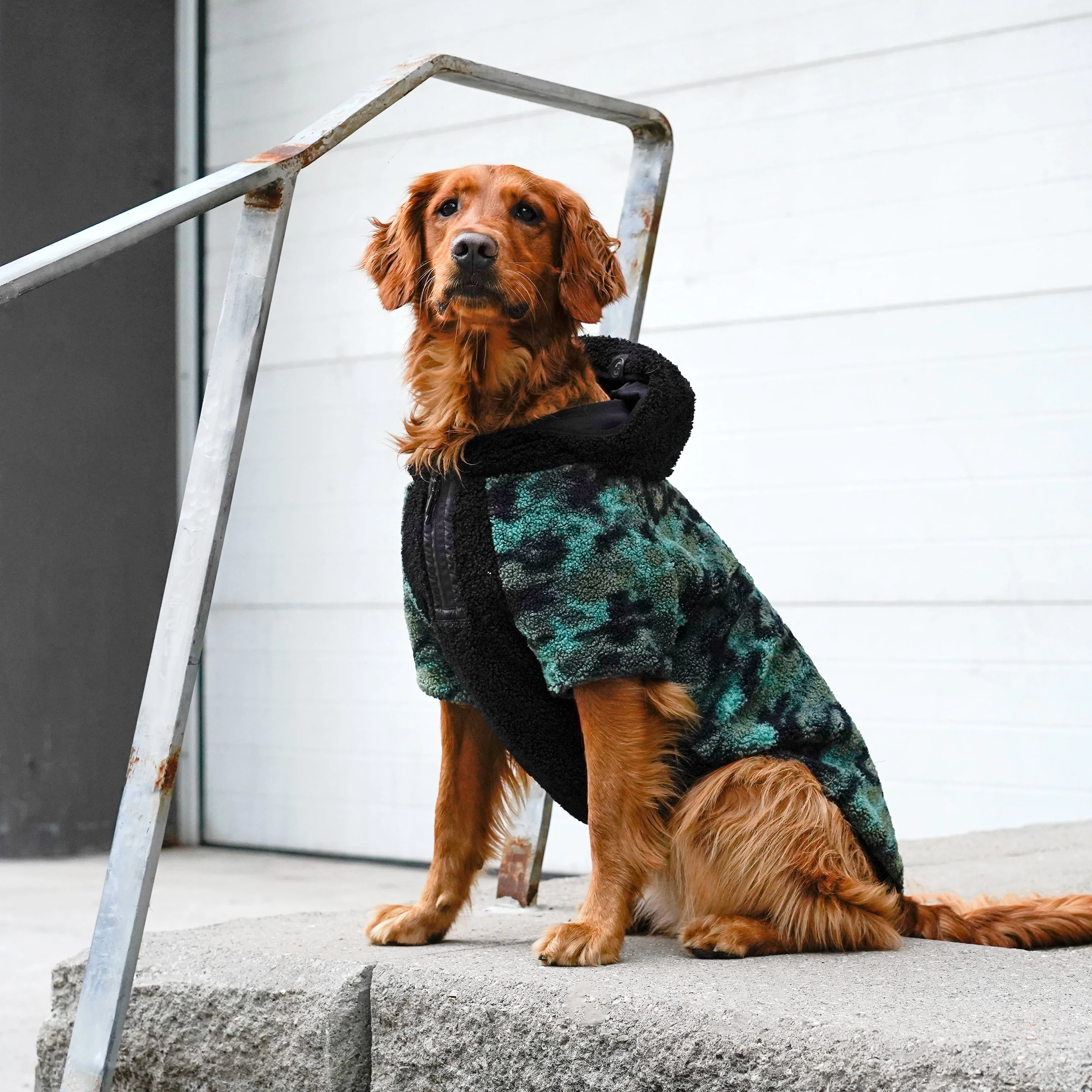 Cool Factor Hoodie - Image 15