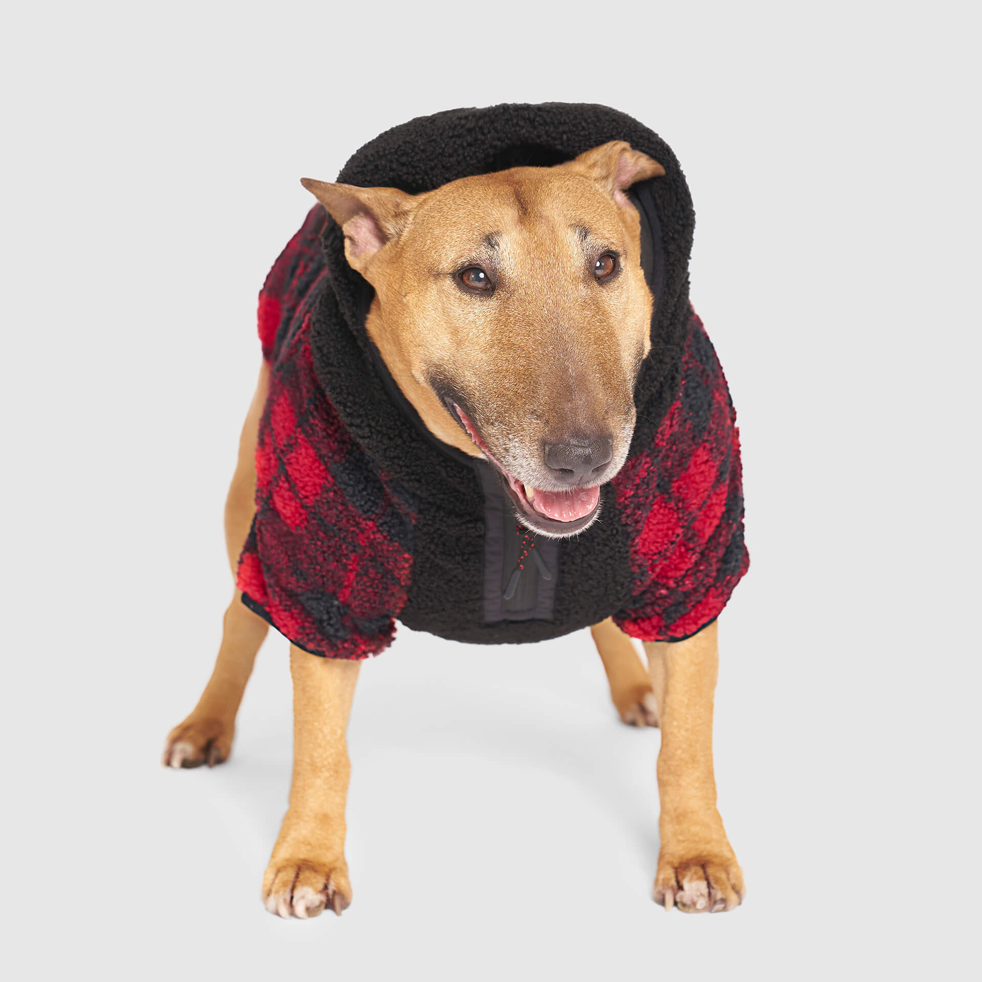 Cool Factor Hoodie - Image 17
