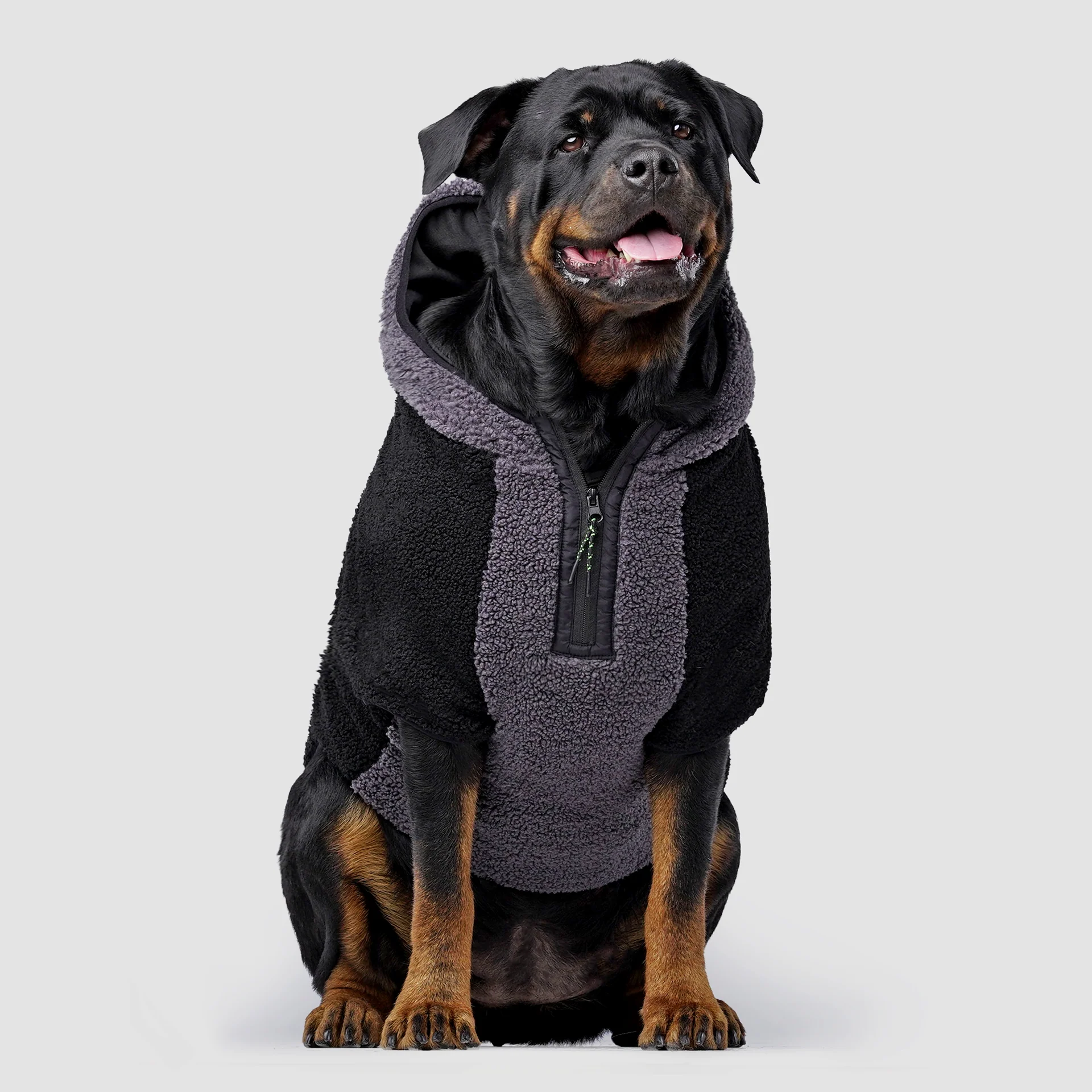 Cool Factor Hoodie - Image 3