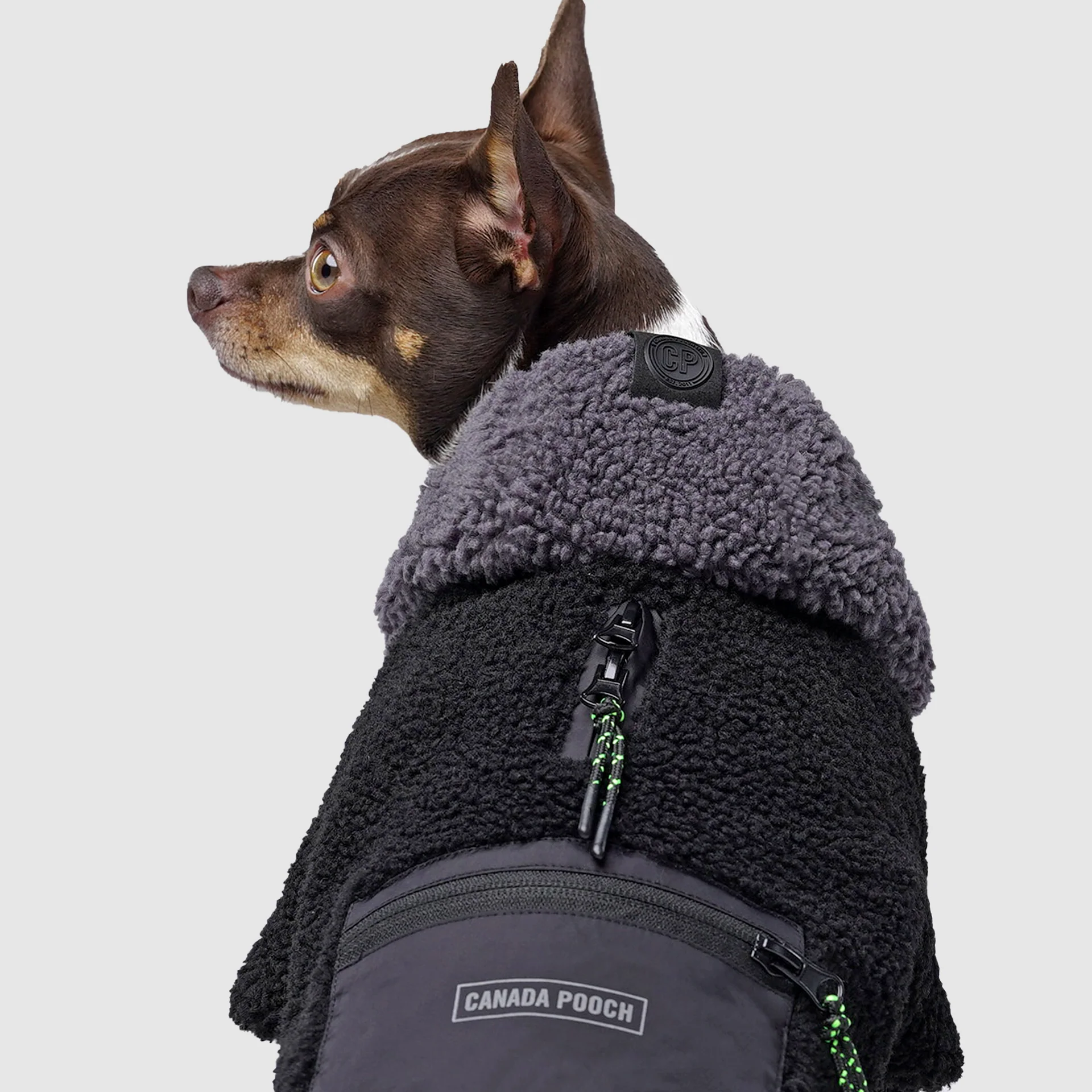 Cool Factor Hoodie - Image 4
