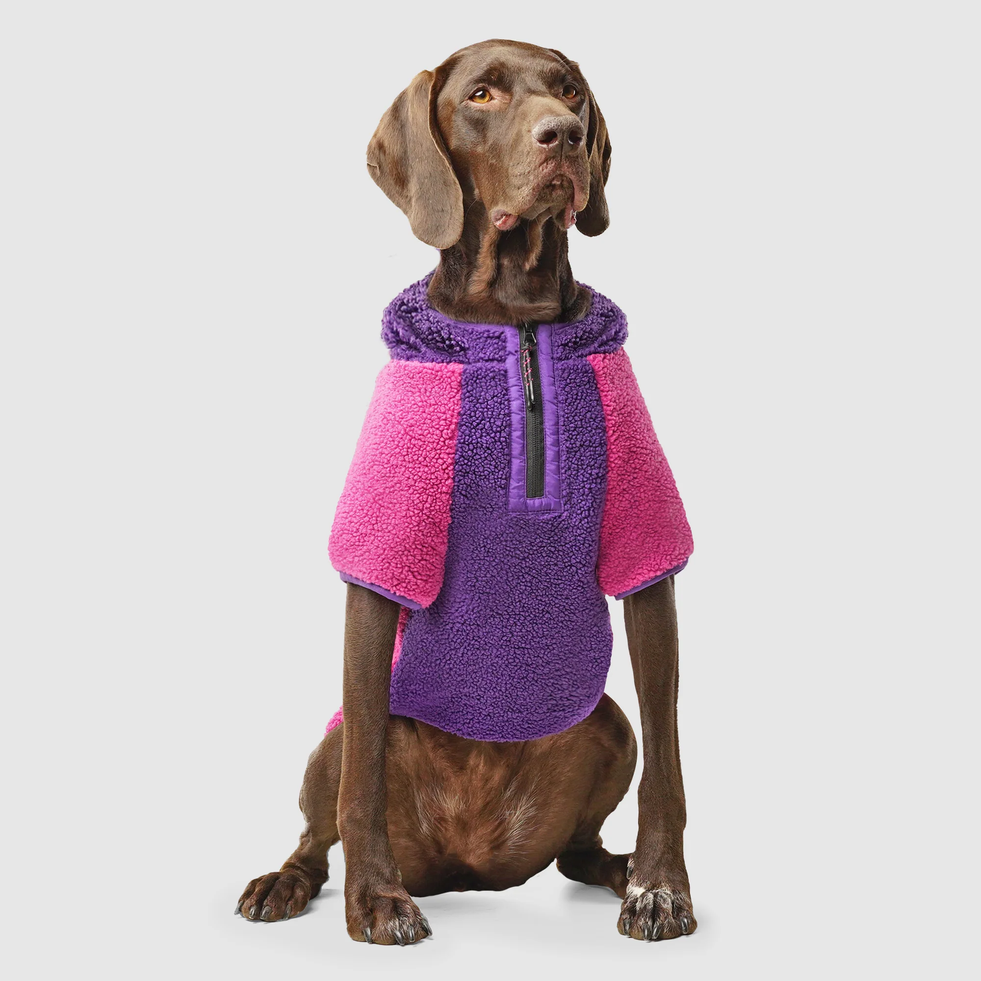 Cool Factor Hoodie - Image 7