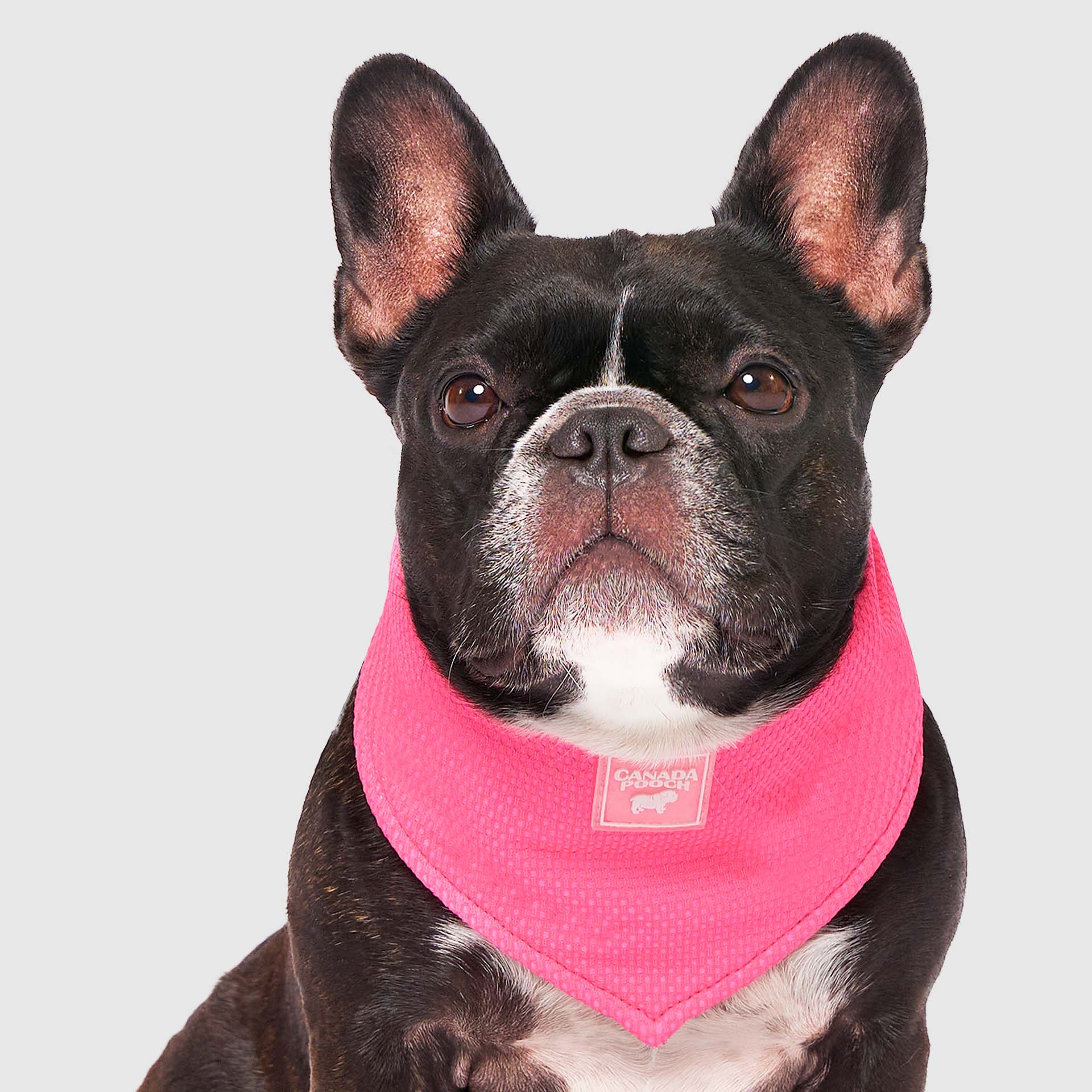 Cooling Bandana - Image 11