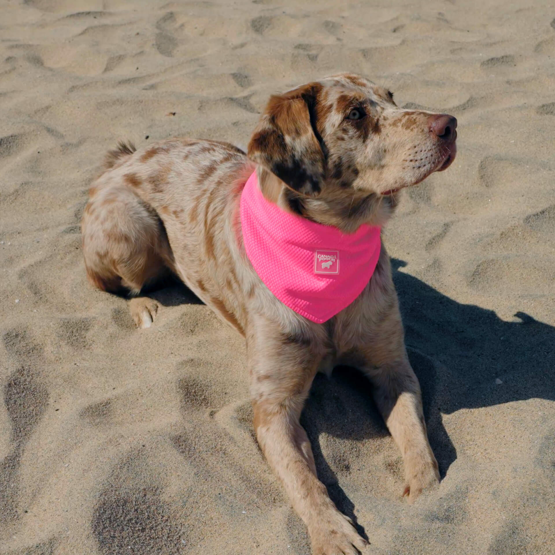 Cooling Bandana - Image 12