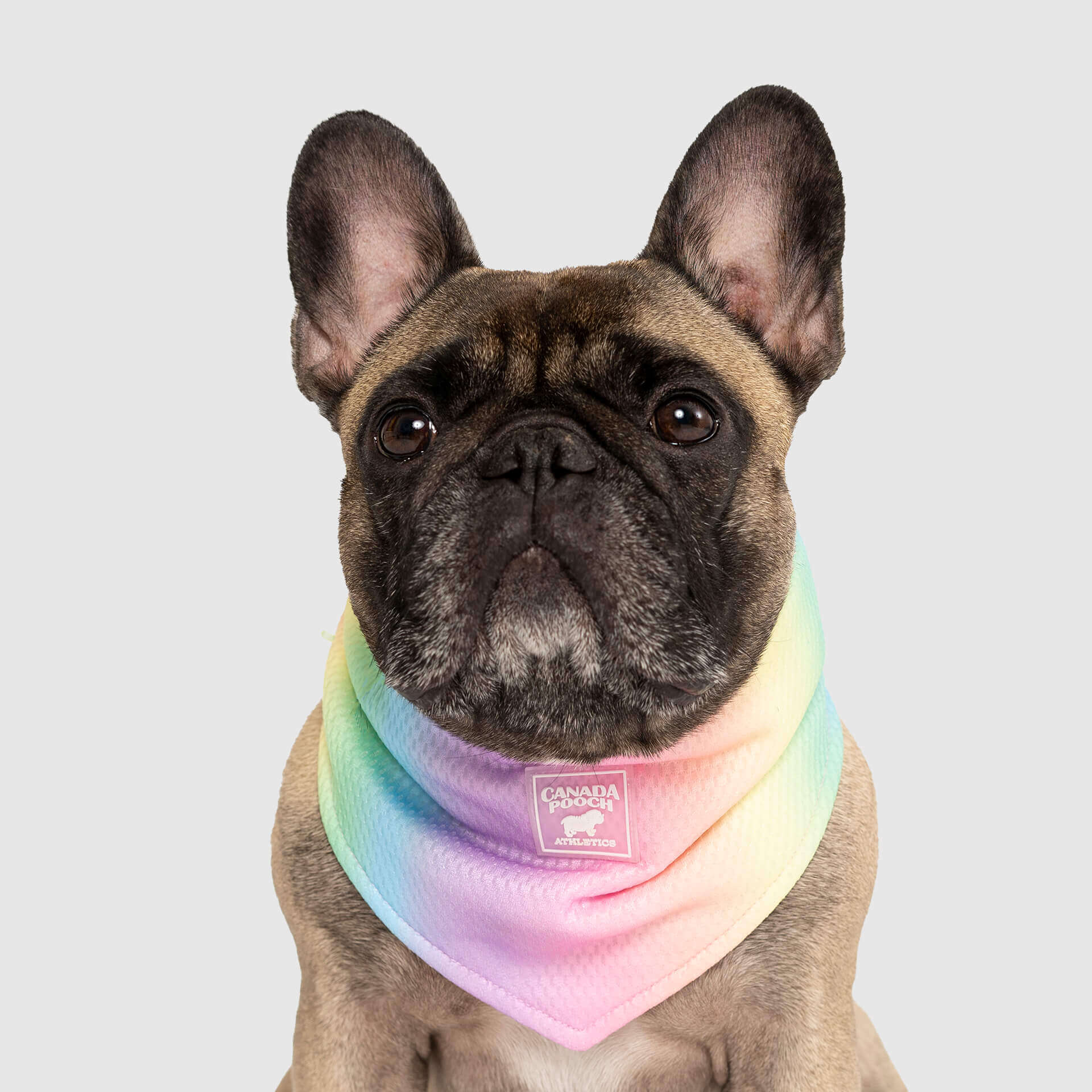 Cooling Bandana - Image 5