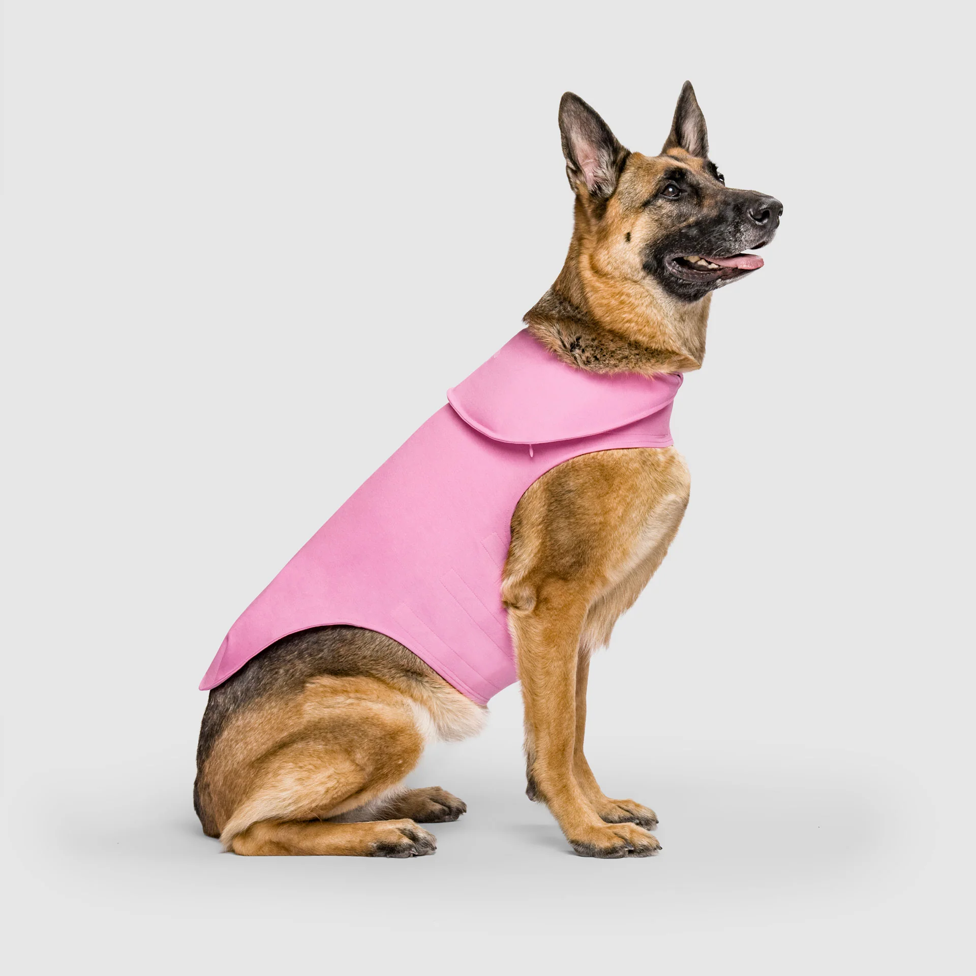 Weighted Calming Vest - Image 13