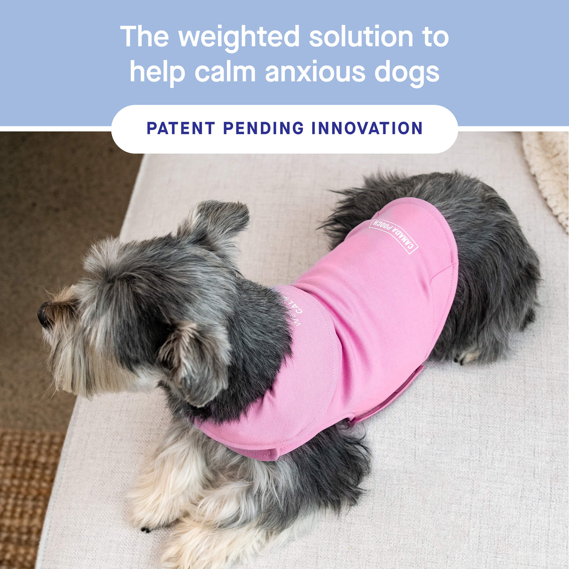 Weighted Calming Vest - Image 14