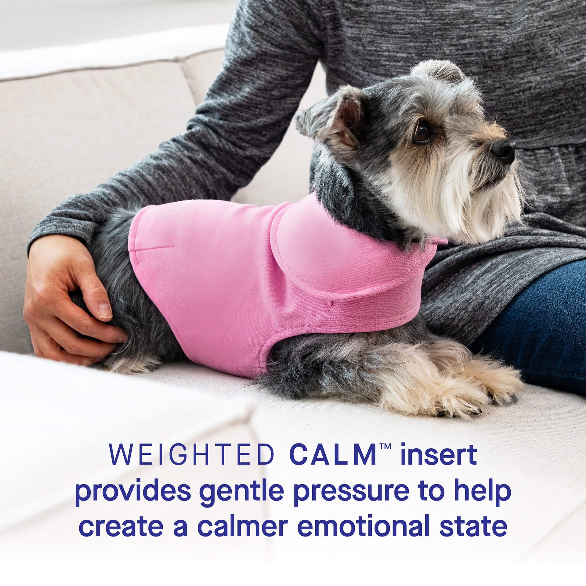 Weighted Calming Vest - Image 15