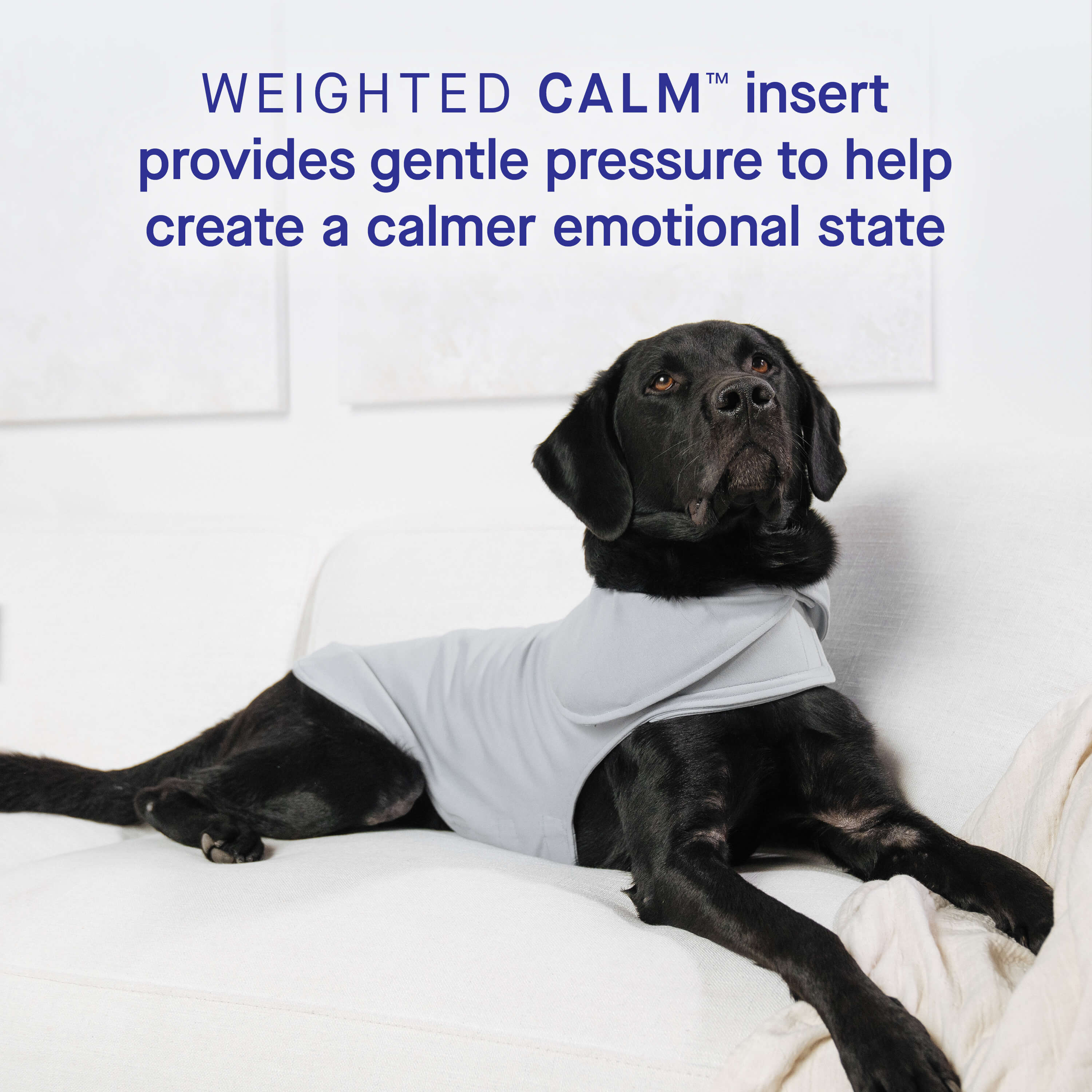 Weighted Calming Vest - Image 4