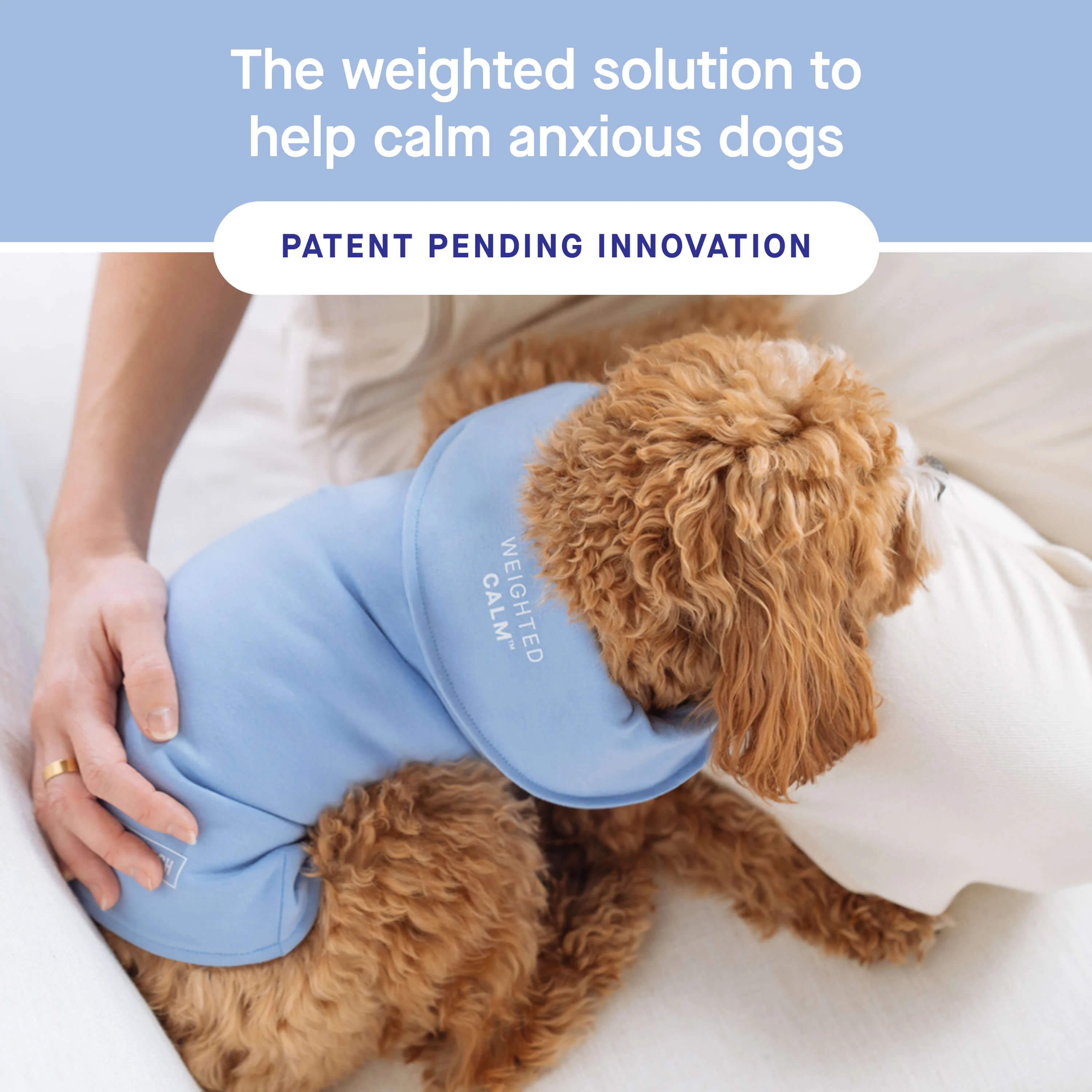 Weighted Calming Vest - Image 8