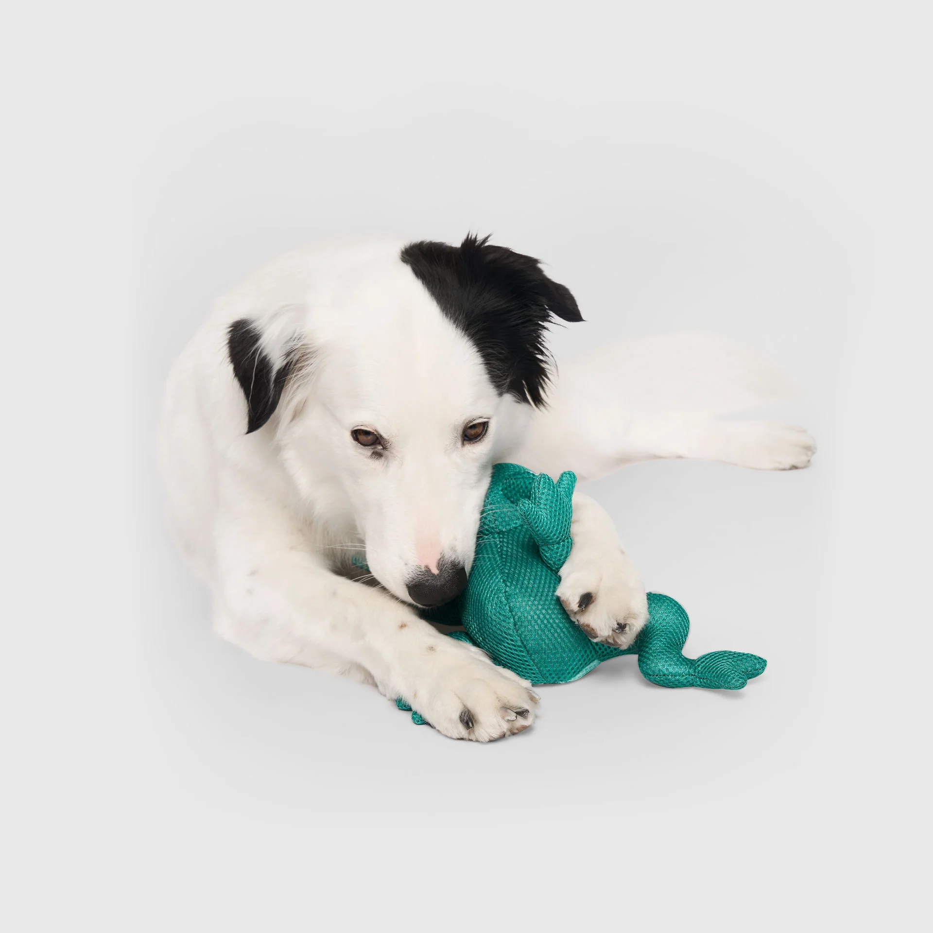 Freeze & Chill Cooling Pal Toy - Image 10