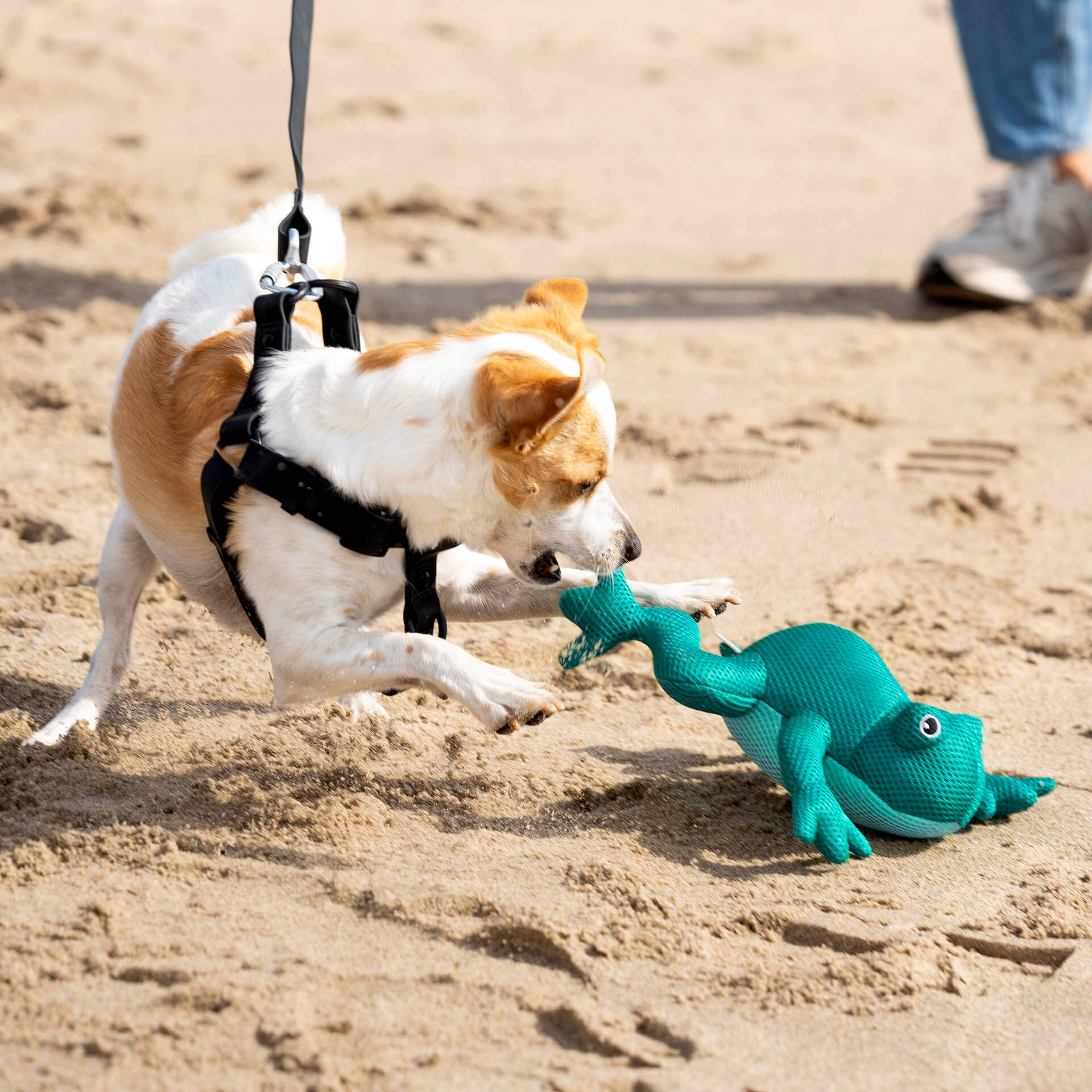 Freeze & Chill Cooling Pal Toy - Image 11