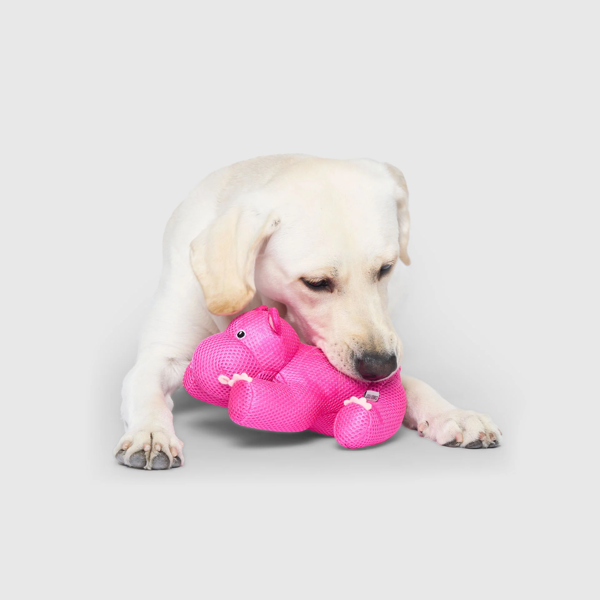 Freeze & Chill Cooling Pal Toy - Image 13