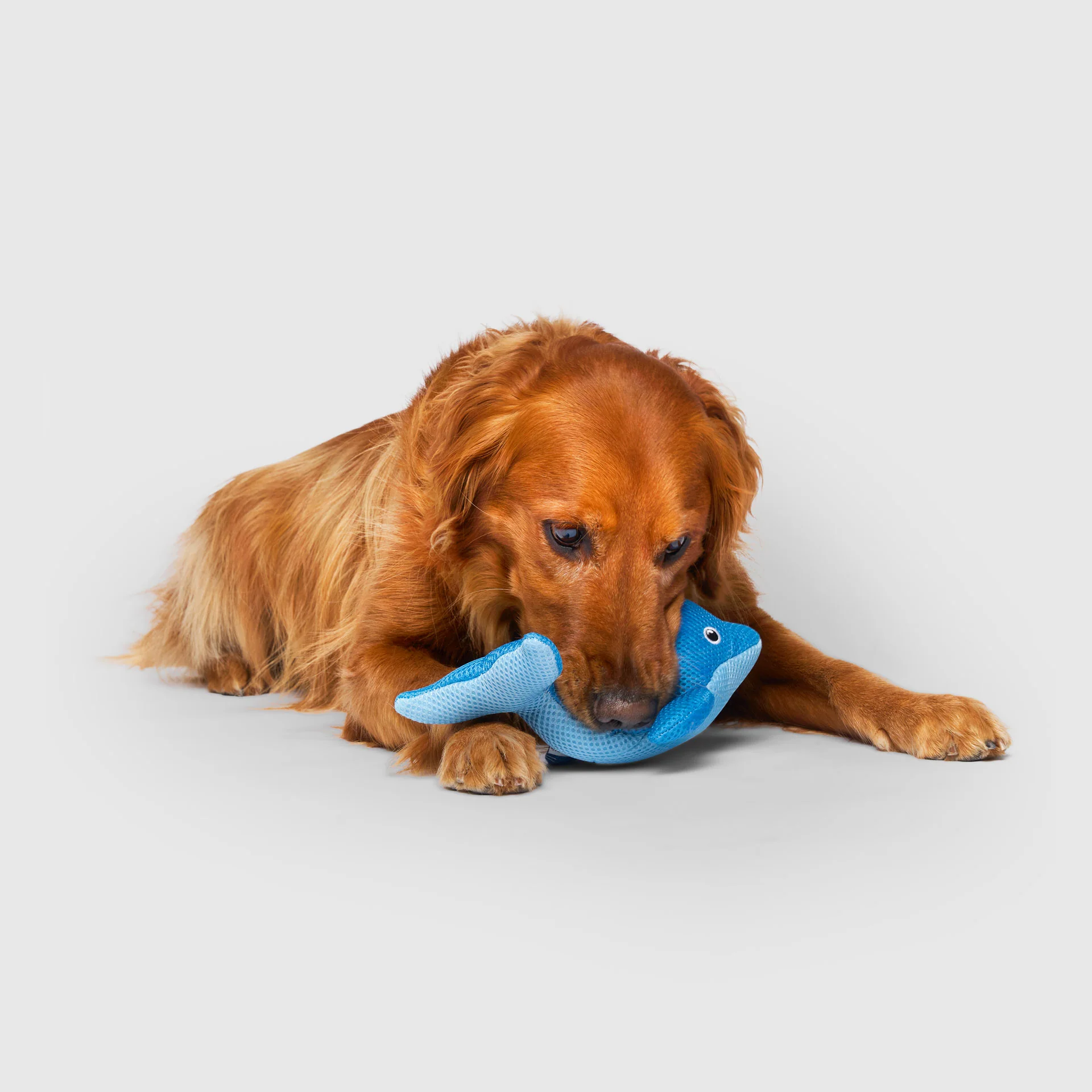 Freeze & Chill Cooling Pal Toy - Image 4