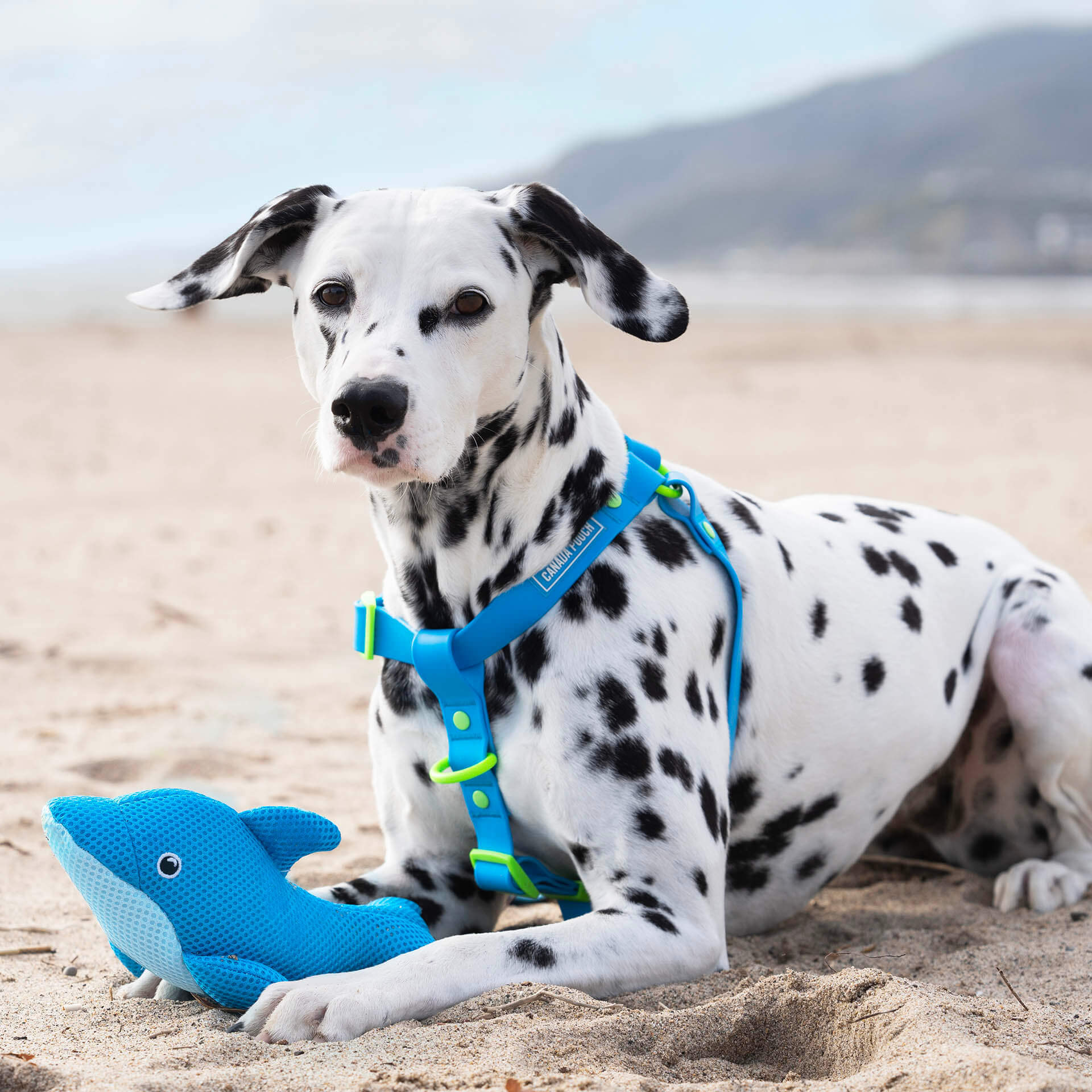 Freeze & Chill Cooling Pal Toy - Image 5