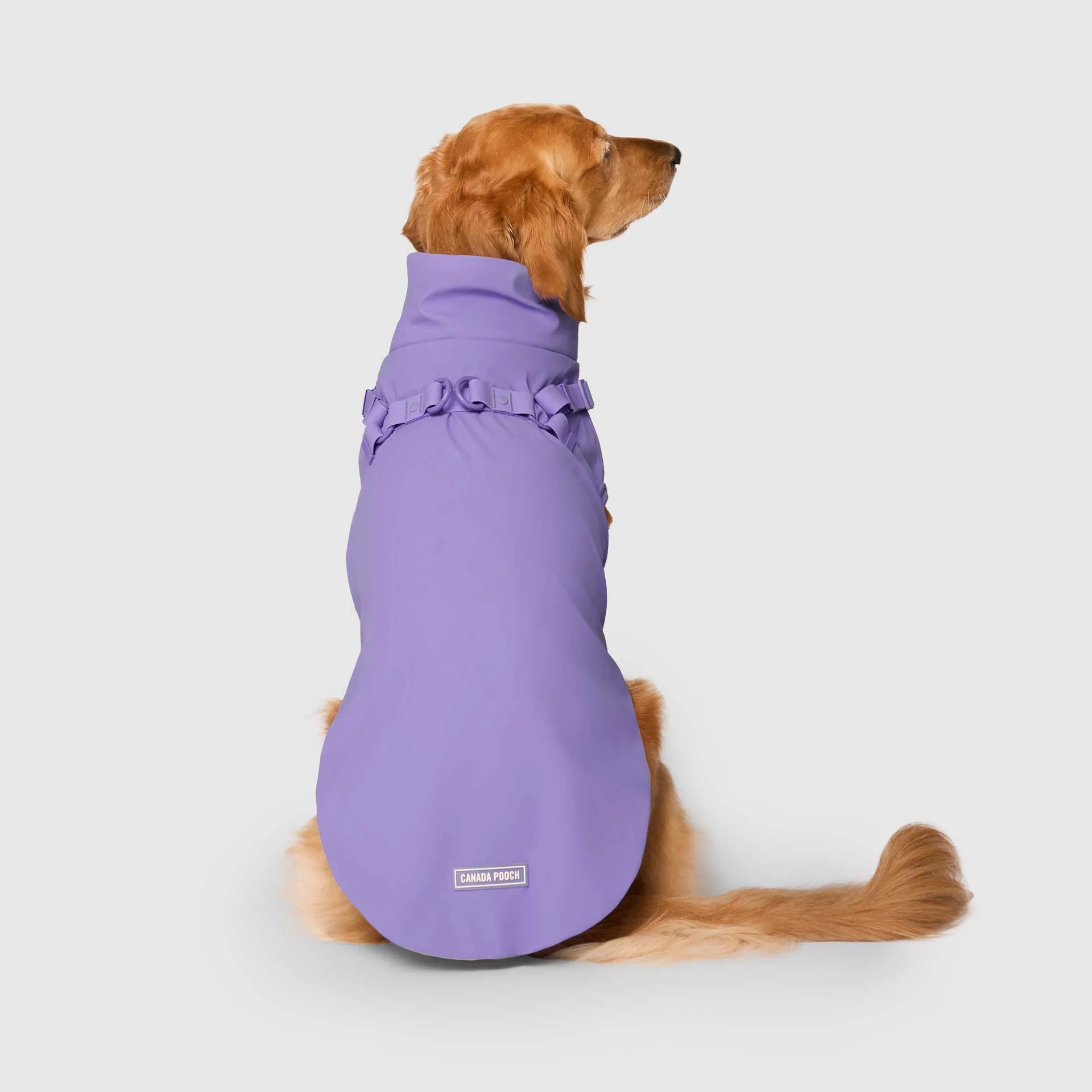 Harness Raincoat - Image 26