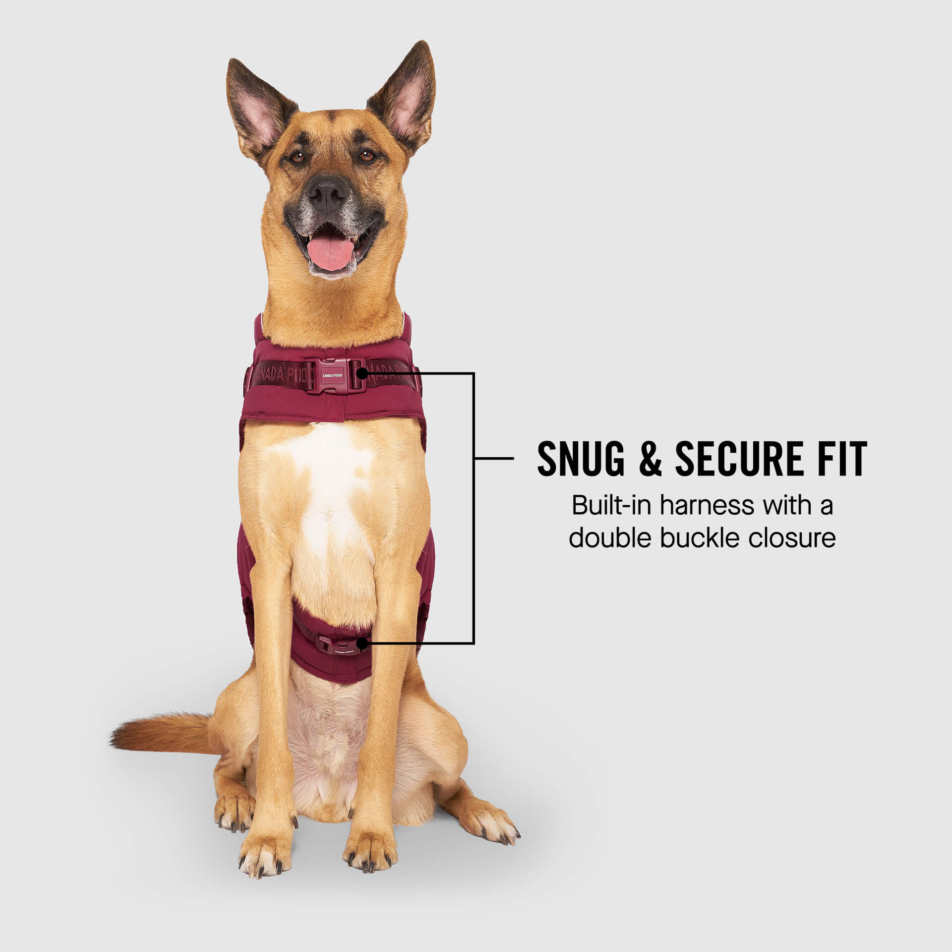 Harness Puffer - Image 15