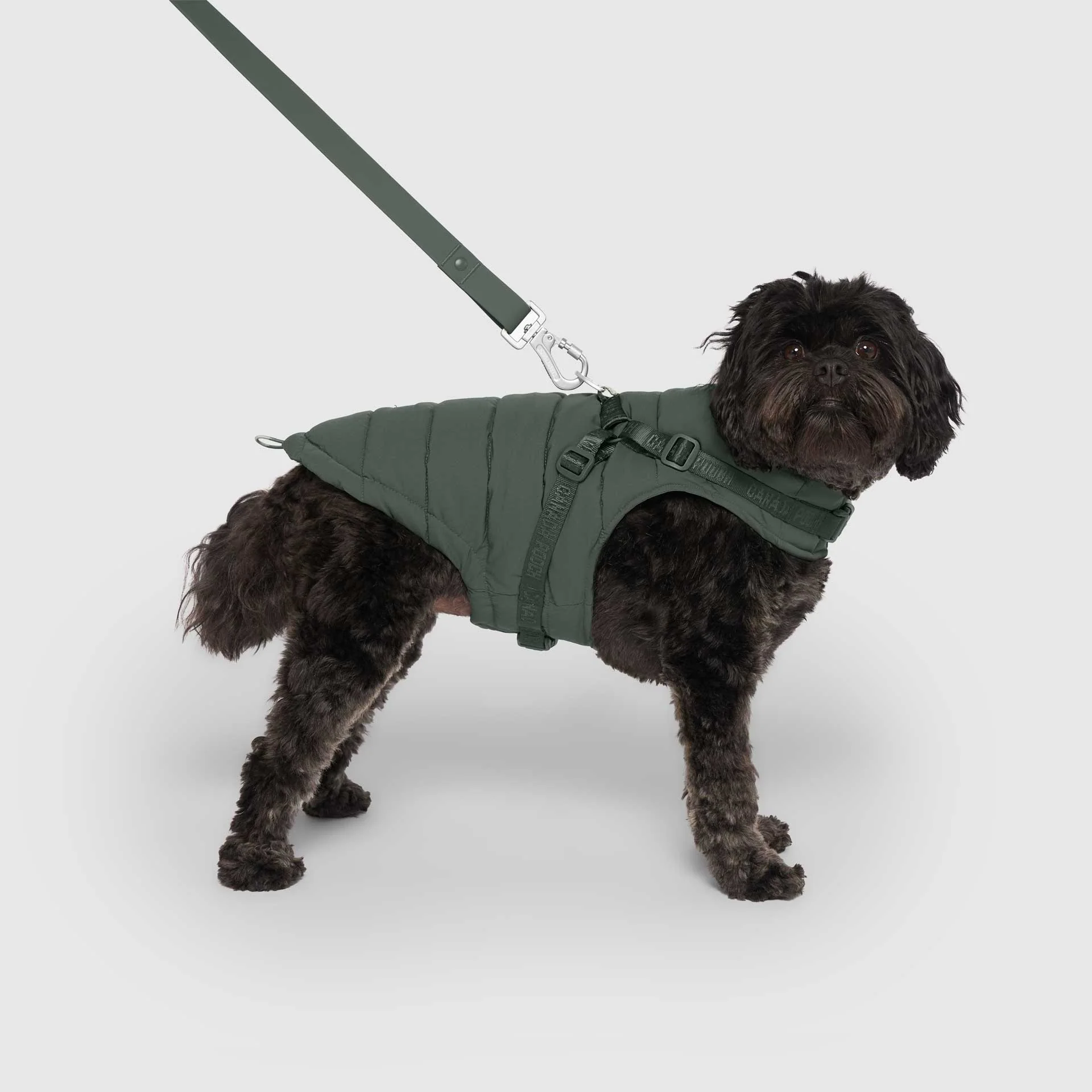 Harness Puffer - Image 19