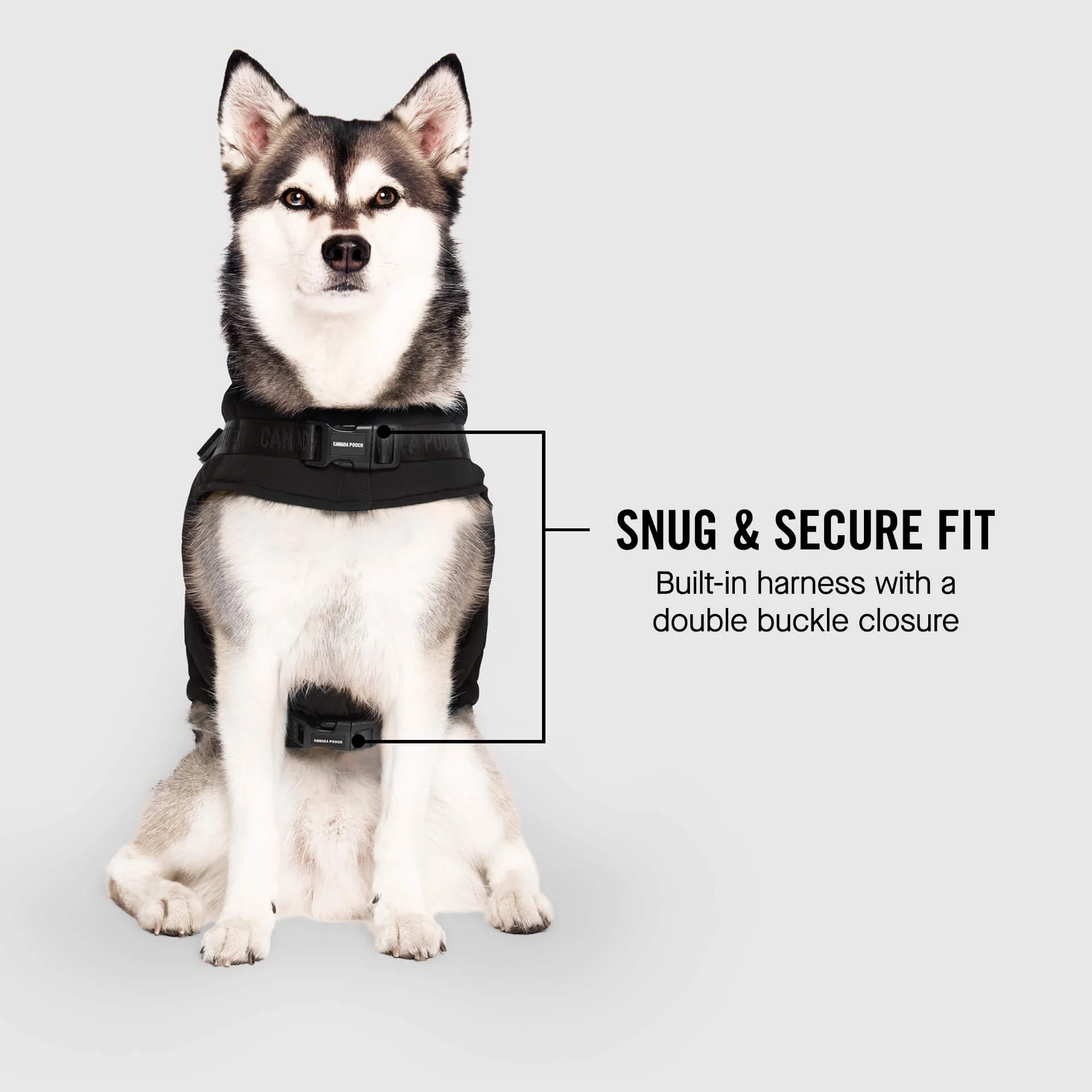 Harness Puffer - Image 4
