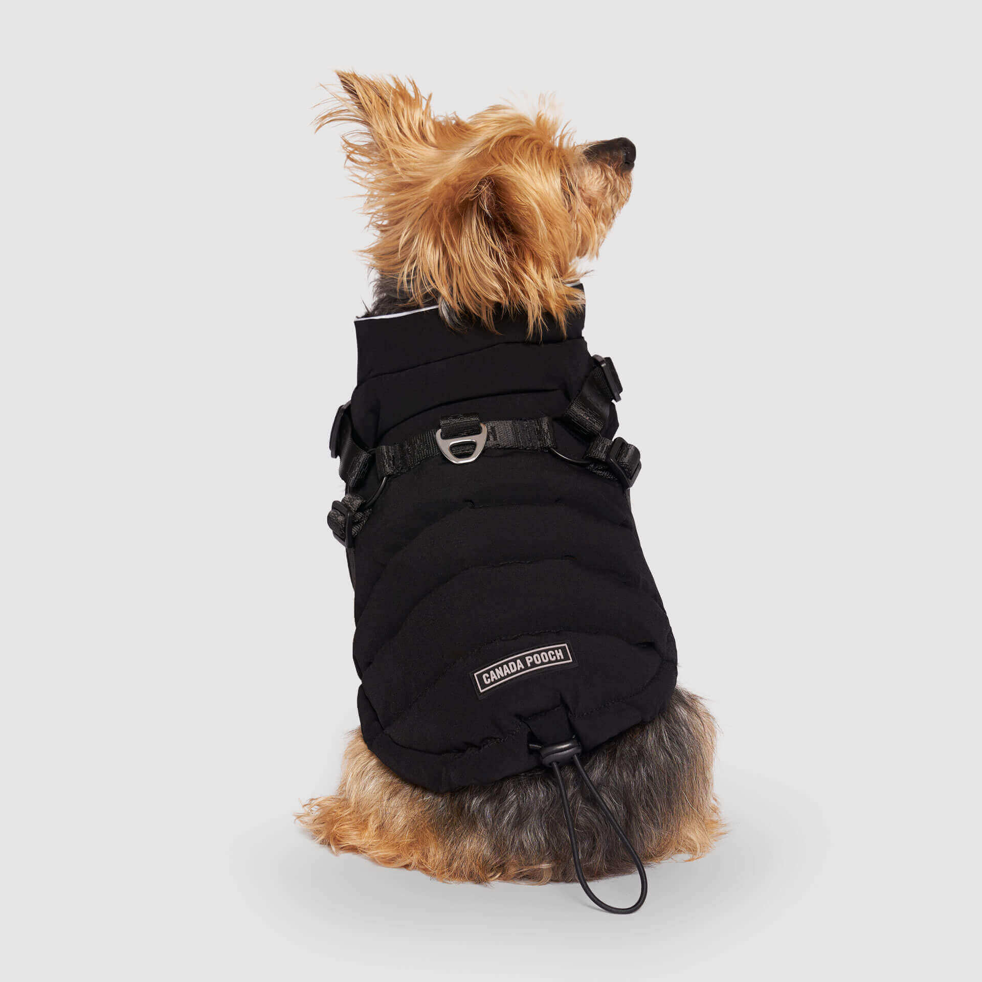 Harness Puffer - Image 5