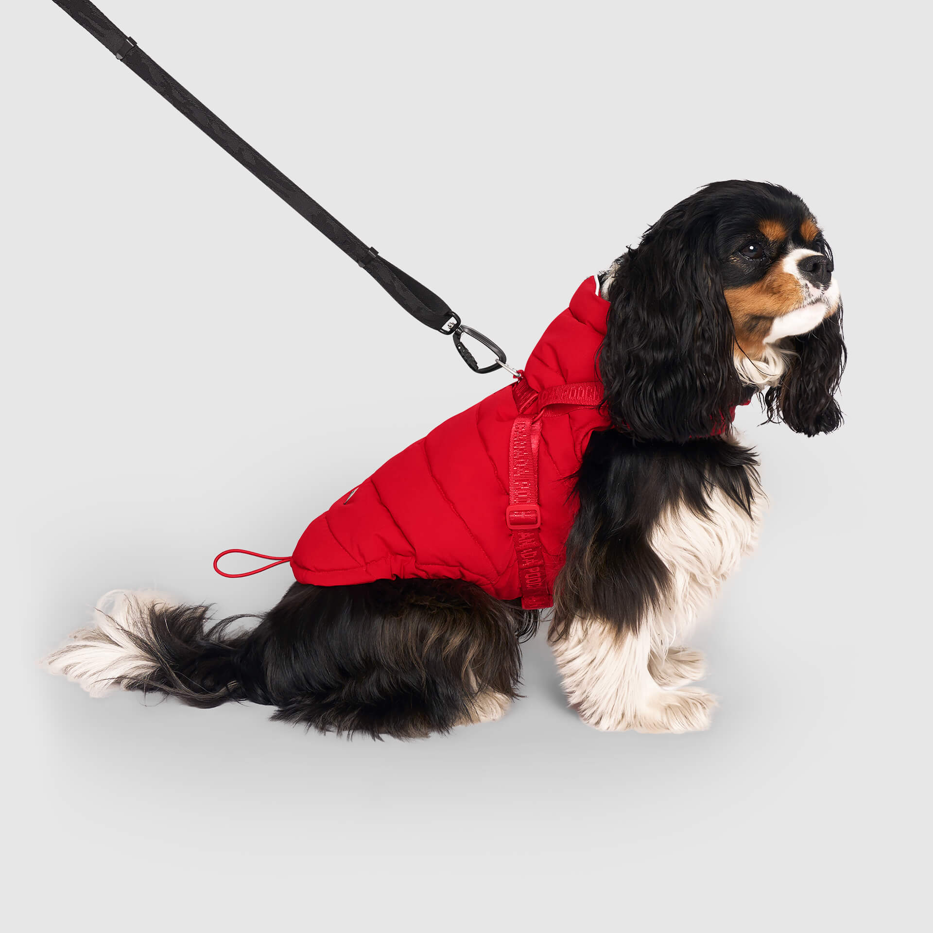 Harness Puffer - Image 7