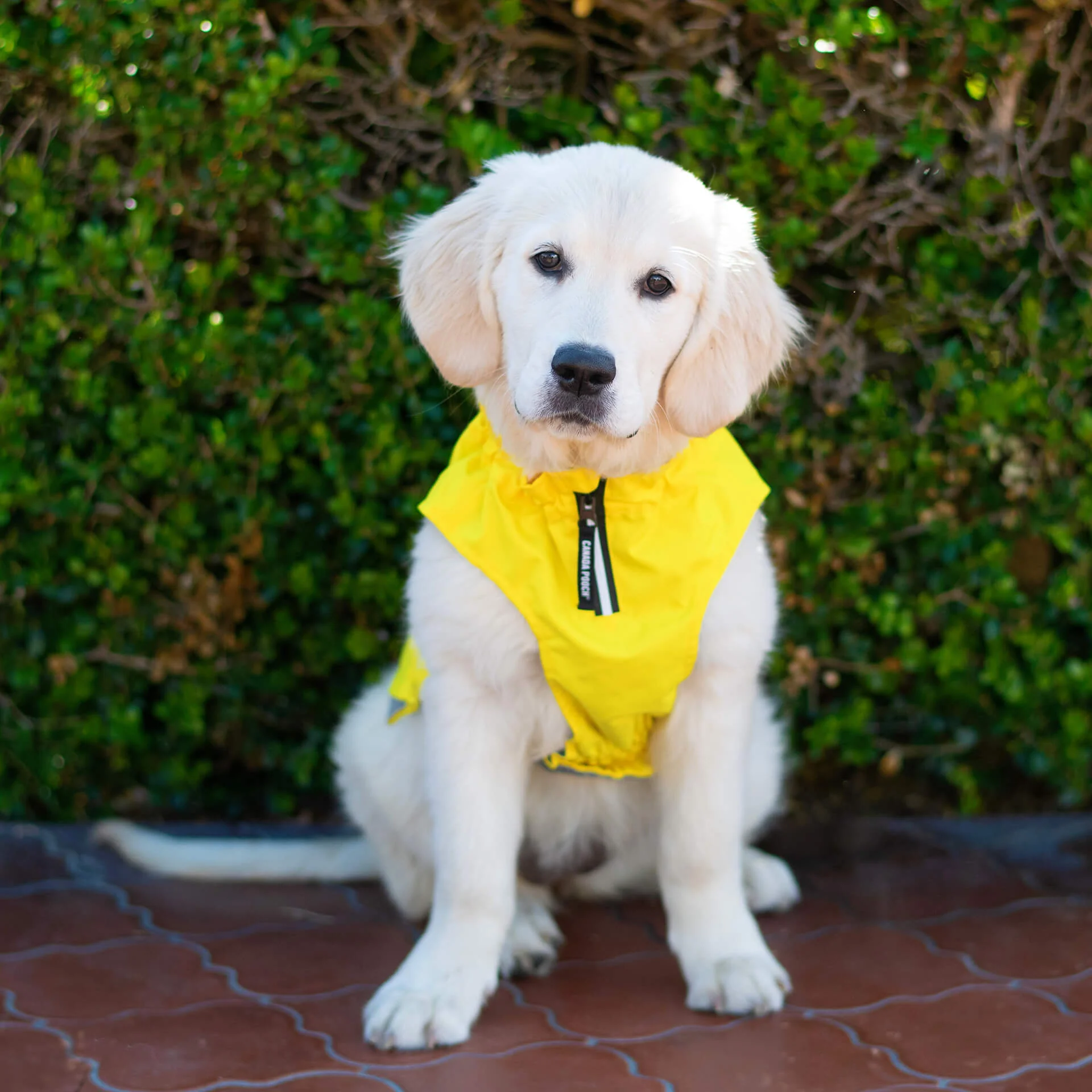 Grow-With-Me Raincoat - Image 5