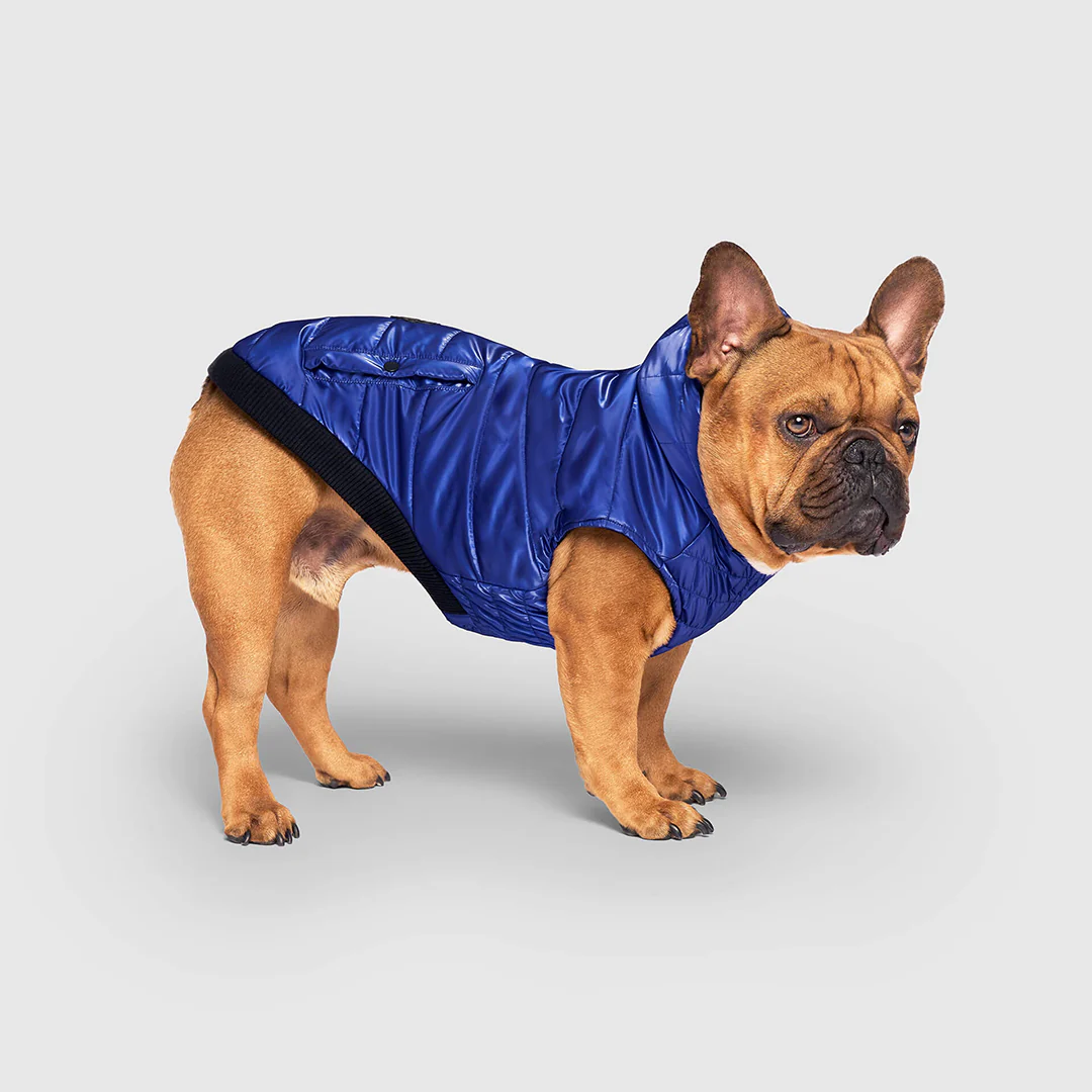 Shiny Puffer Vest - Image 17