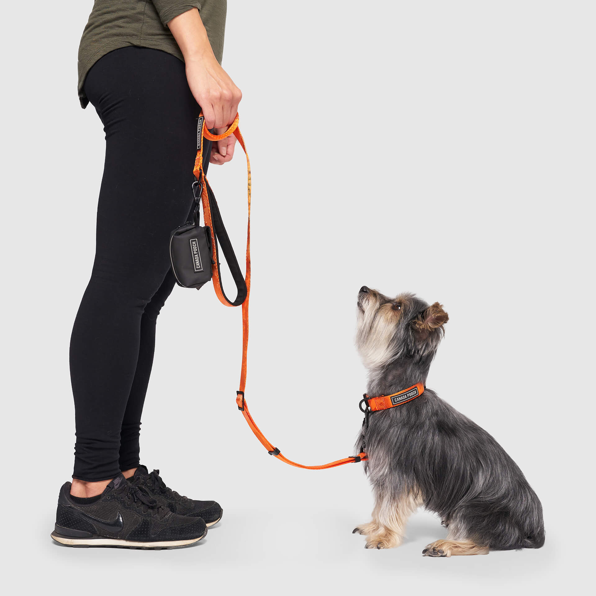 Poop Bag Dispenser - Image 5