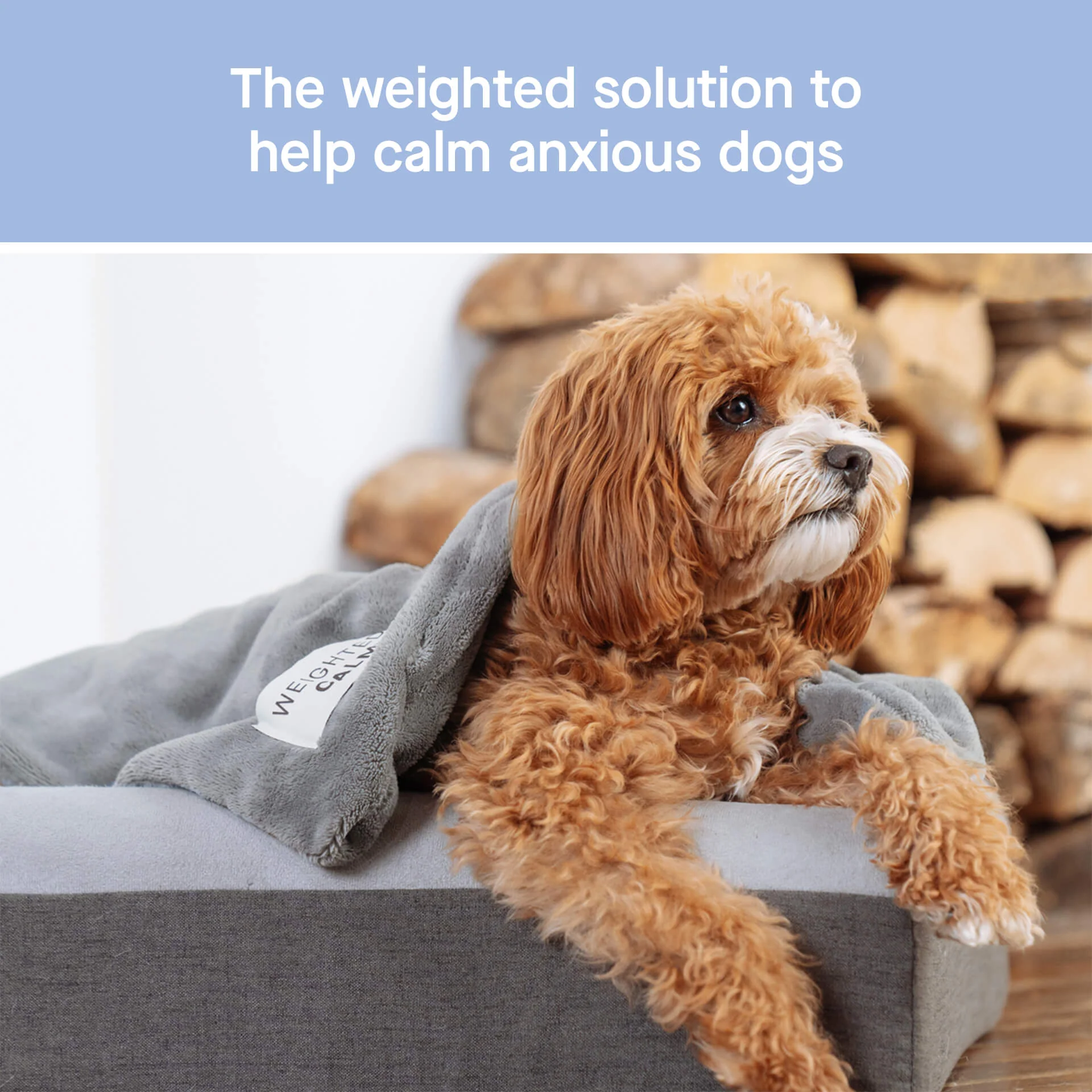 Weighted Calming Blanket - Image 2