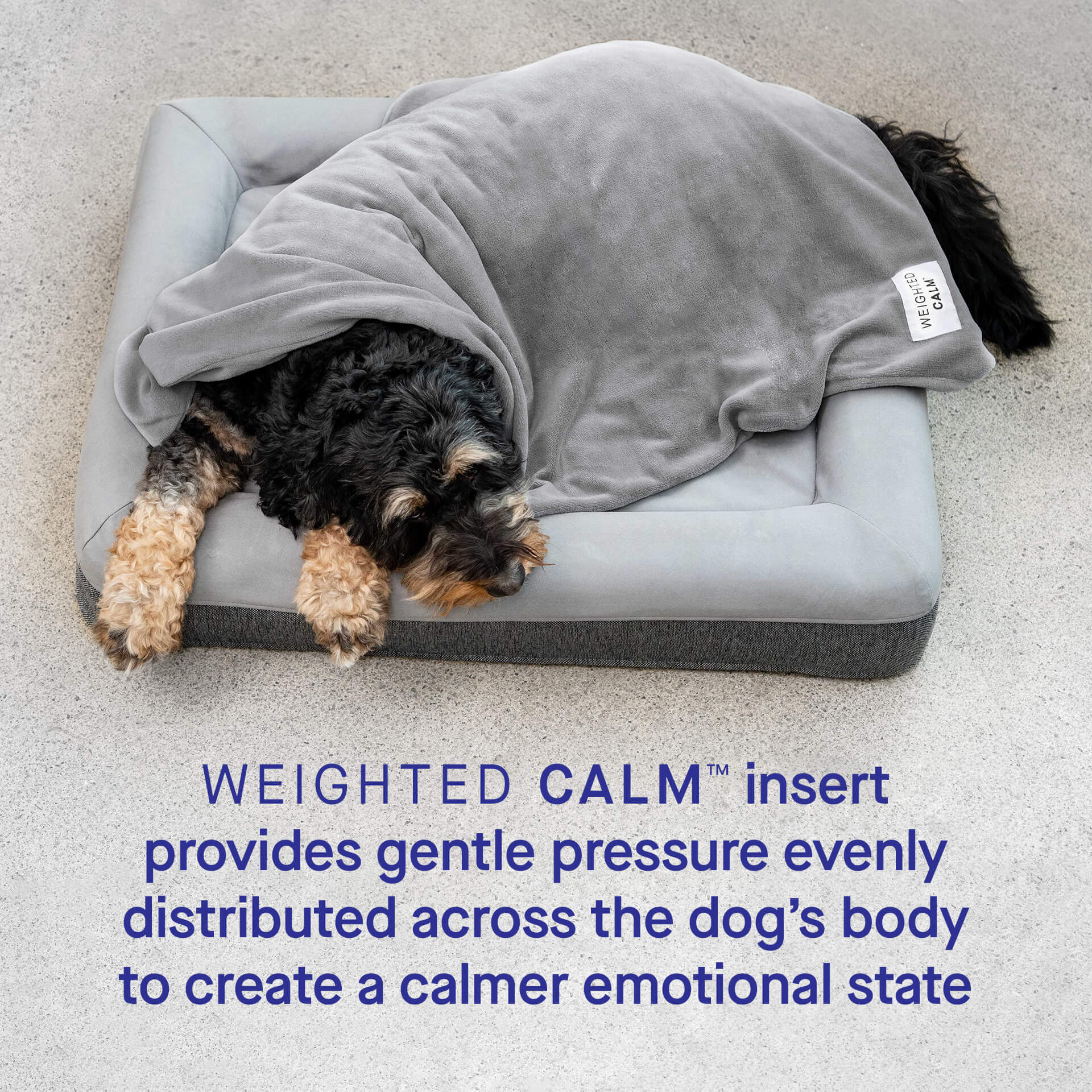 Weighted Calming Blanket - Image 3