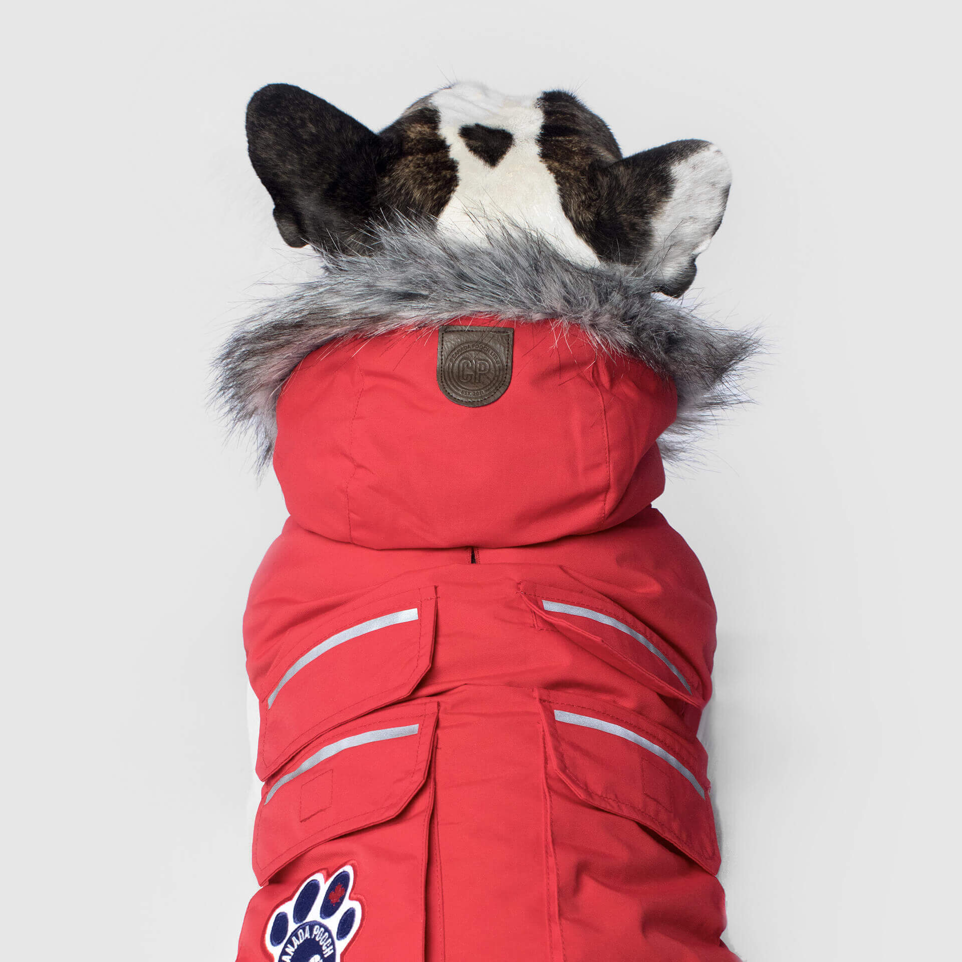 Everest Explorer Jacket - Image 3