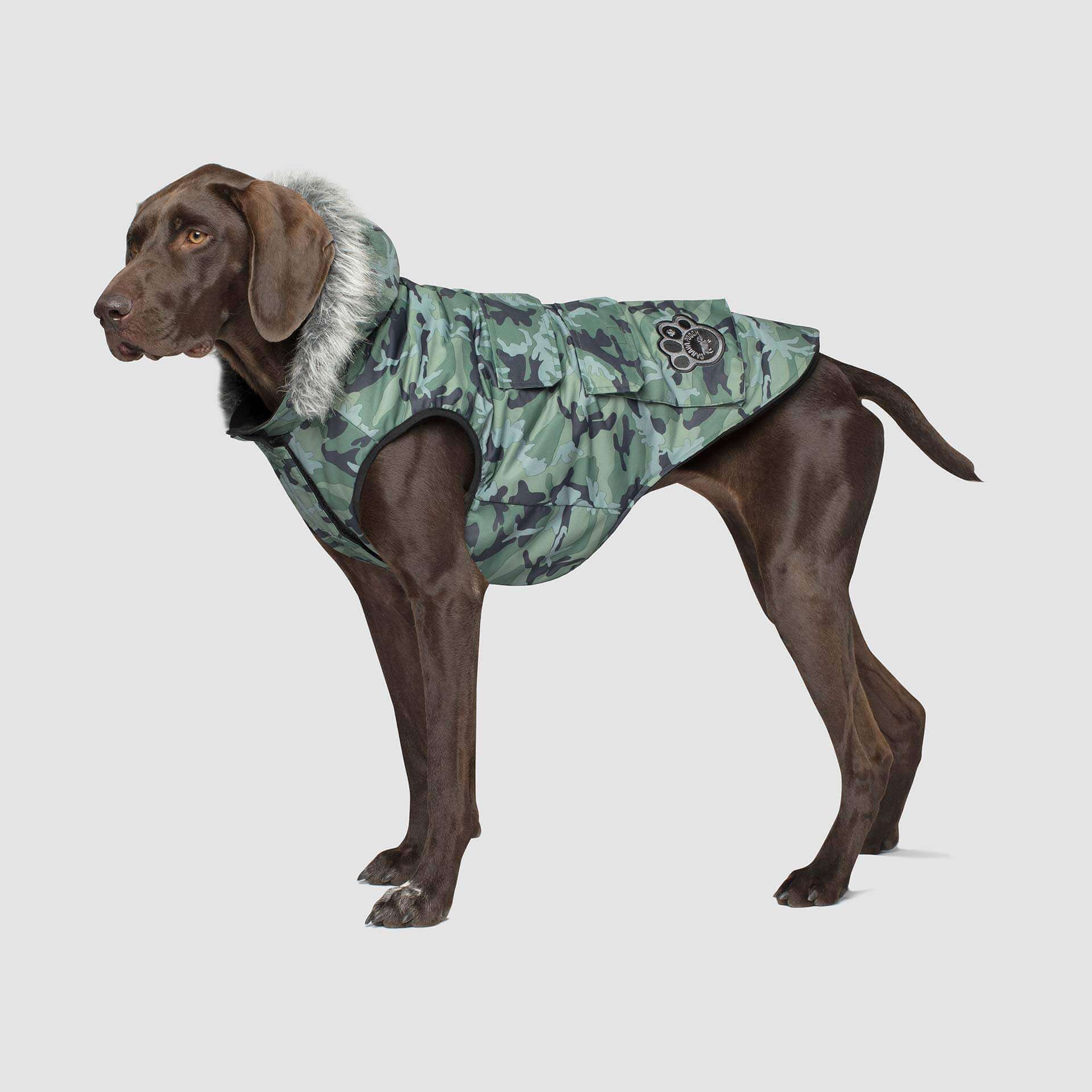 Everest Explorer Jacket - Image 4