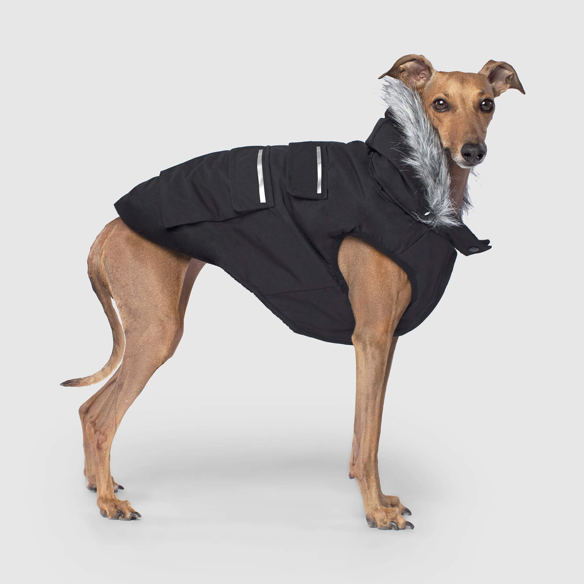 Everest Explorer Jacket - Image 6